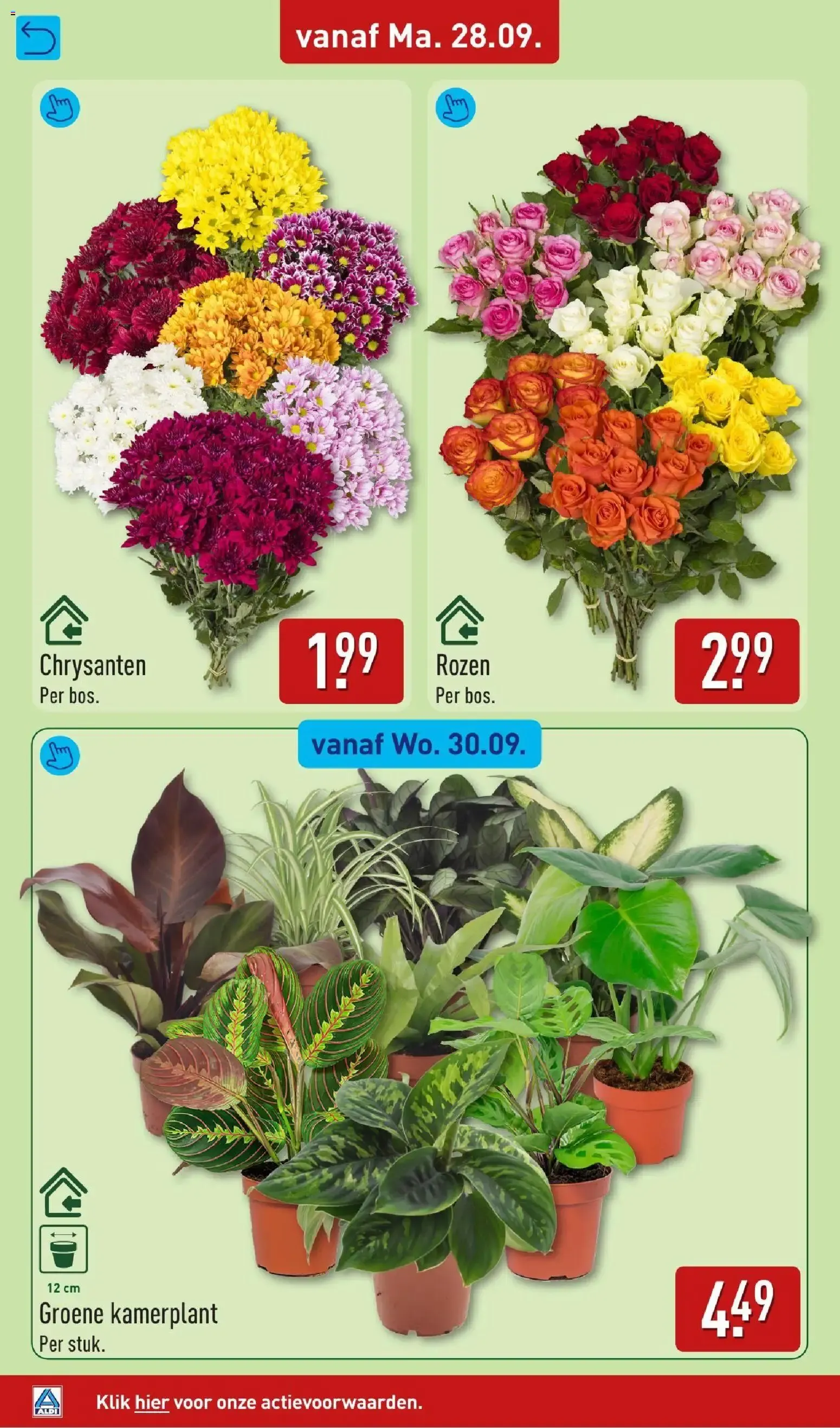 Aldi XXL Voordeel van 28 september tot 4 oktober 2026 - Folder pagina 36