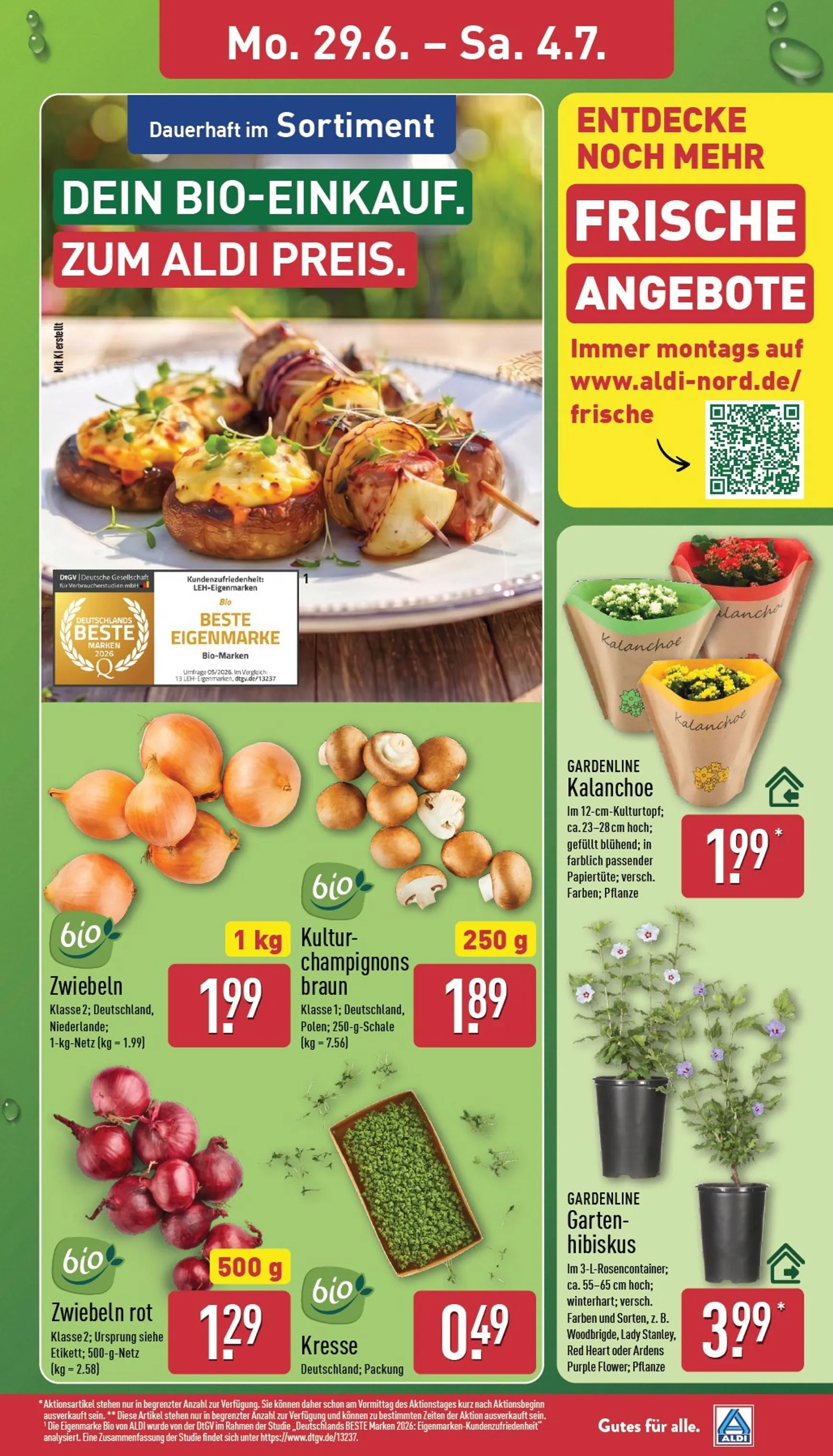 ALDI NORD Prospekt – von Montag 29.06.2026 bis Samstag 04.07.2026 von 29. Juni bis 4. Juli 2026 - Prospekt seite 3