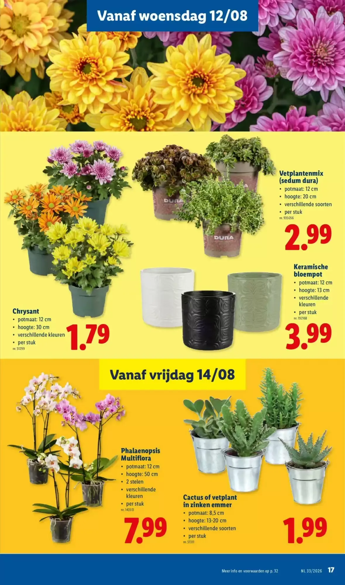 Extra extra large, dat kan tellen. van 10 augustus tot 14 augustus 2026 - folder pagina 17