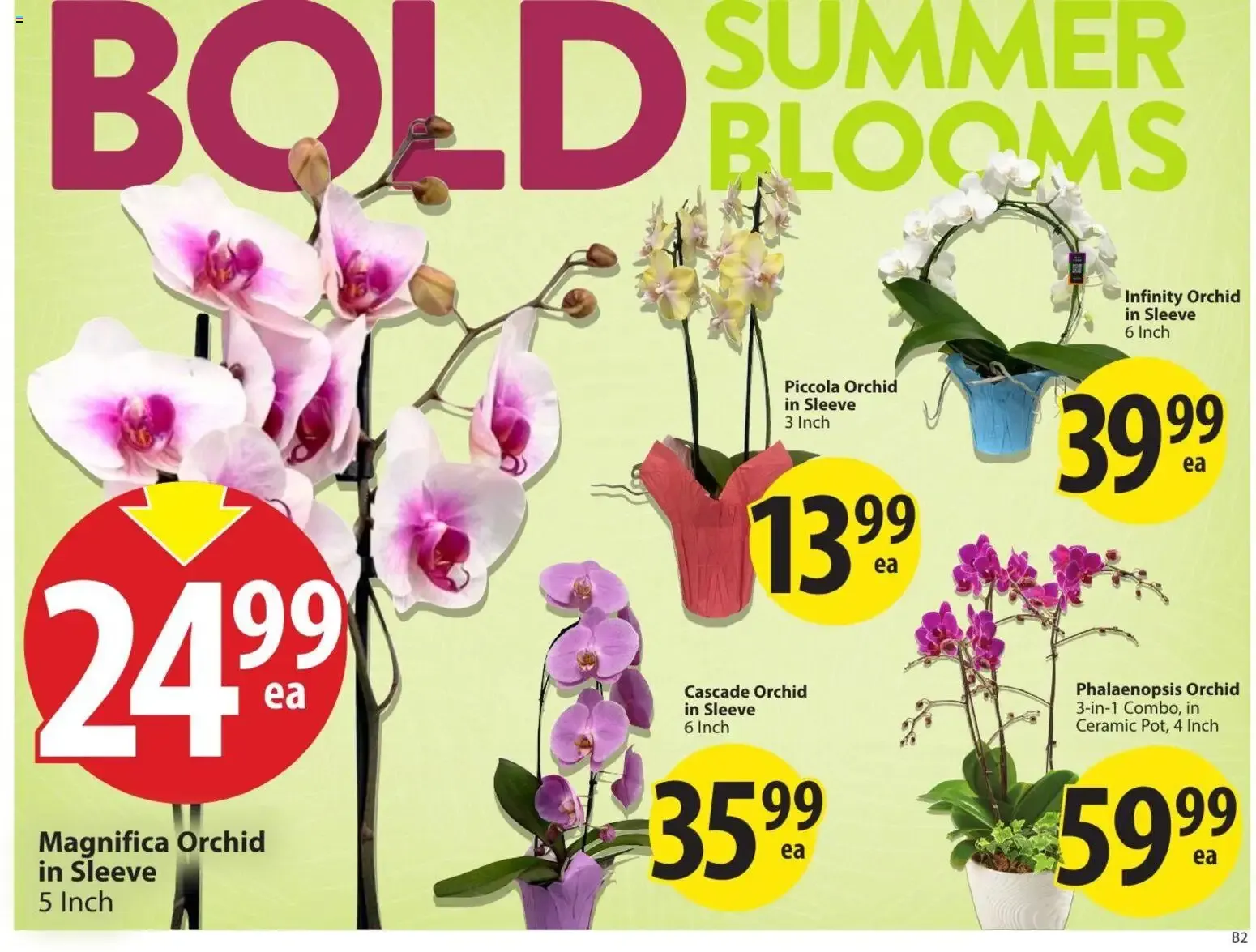 Save On Foods: It's Back! $1.49 Day from July 21 to July 21 2026 - flyer page 6
