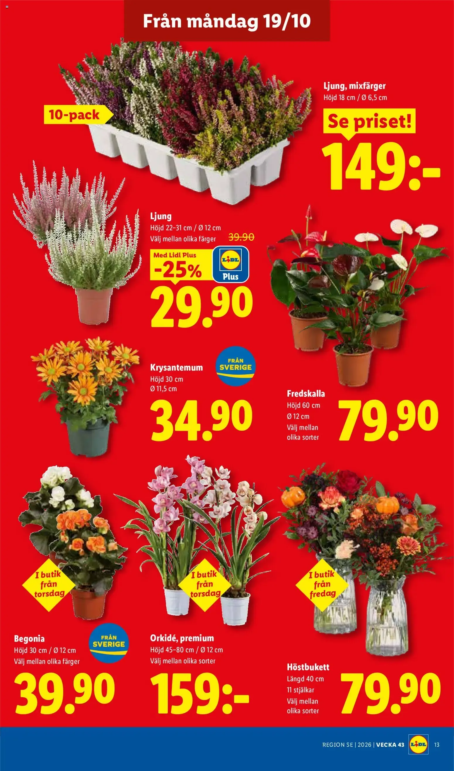 Lidl erbjudanden från 19/10/2026 - 25/10/2026 > Reklamblad nuvarande rabatter från 19 oktober till 25 oktober 2026 - Reklamblad sidor 15