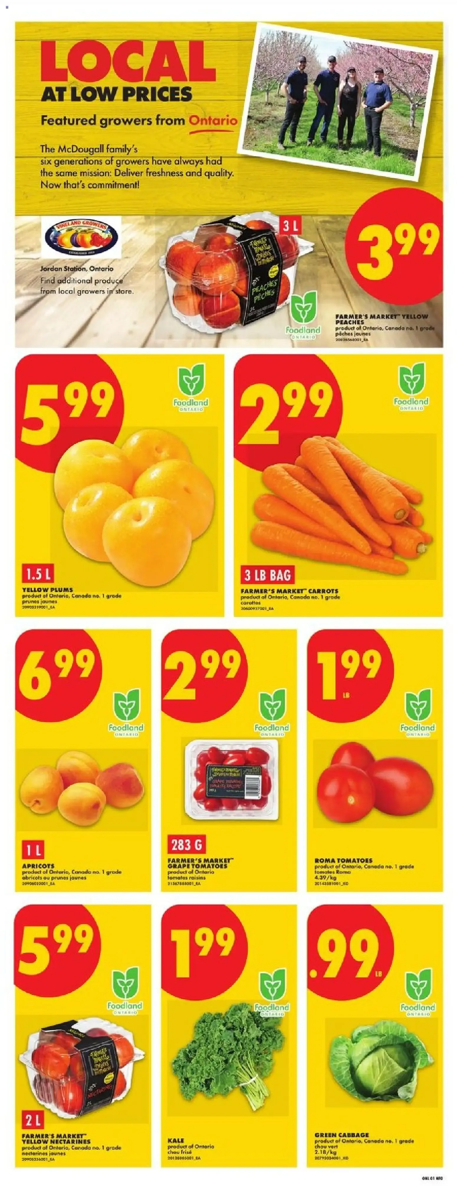 No Frills weekly flyer / circulaire from Jul 30, 2026 > weekly specials & deals from July 30 to August 5 2026 - flyer page 3