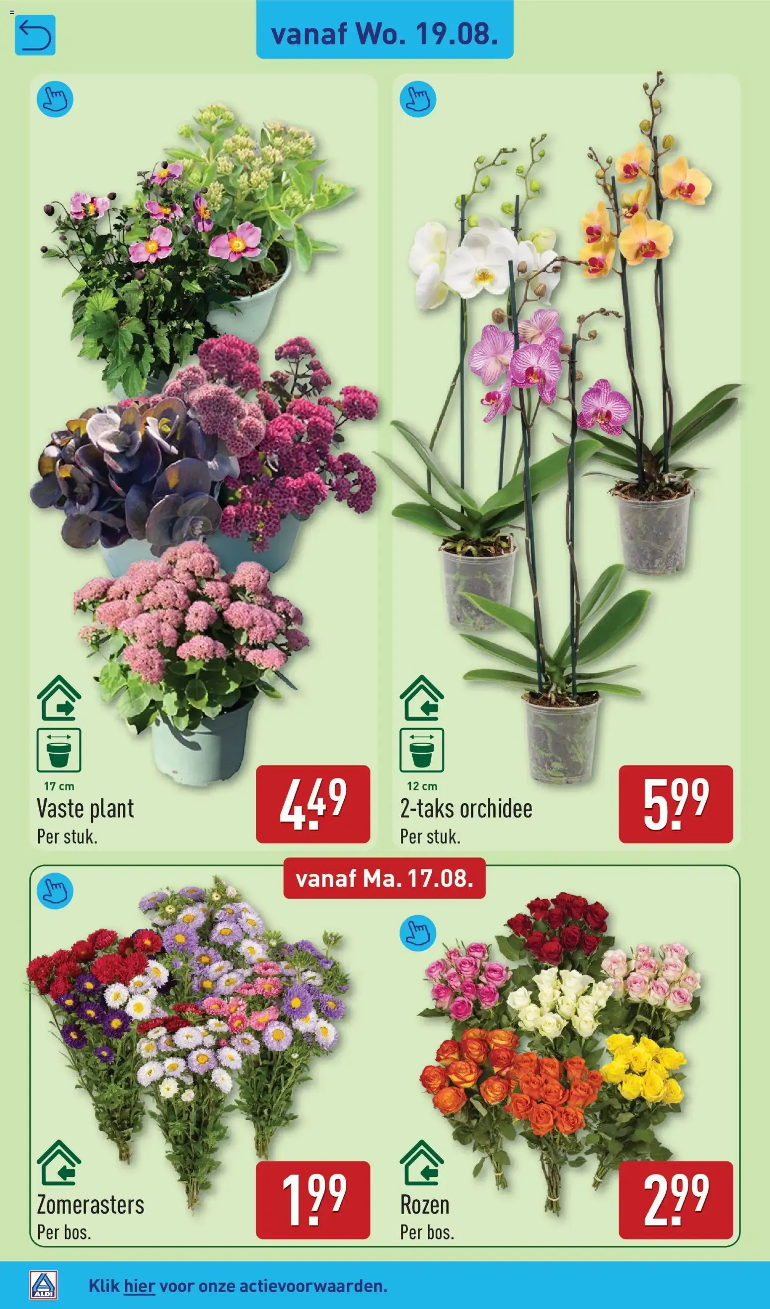 Aldi folder vanaf 17-08-2026 (volgende, deze week) van 17 augustus tot 23 augustus 2026 - Folder pagina 30