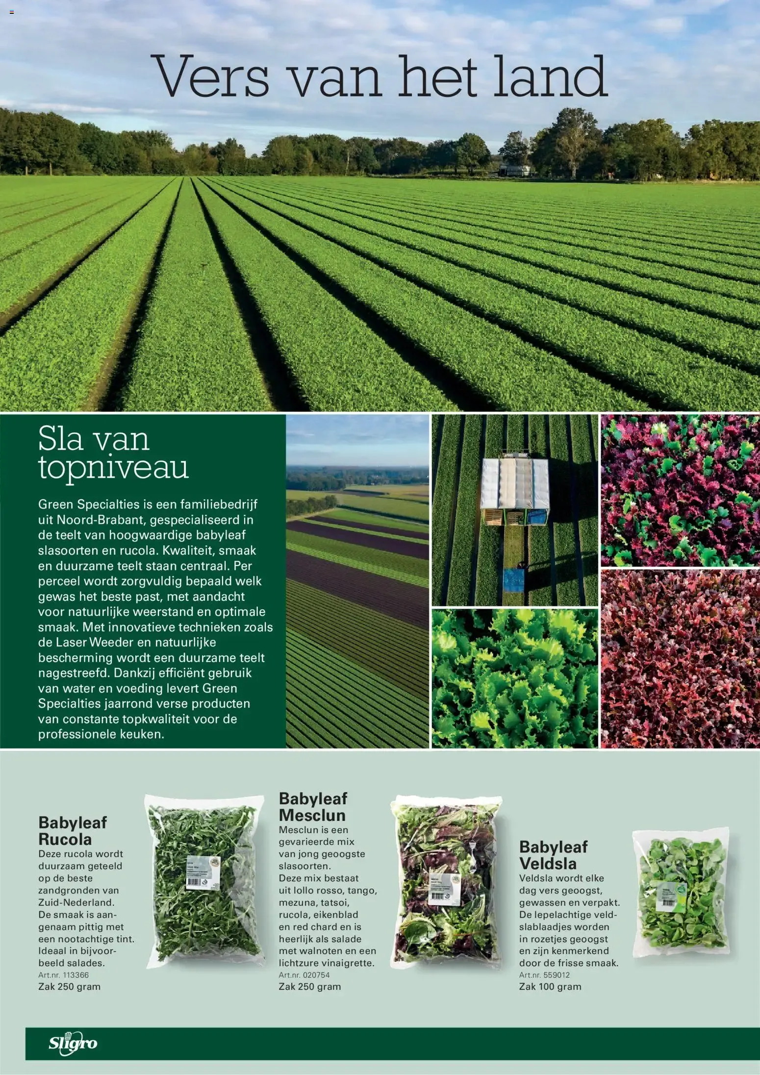 Sligro Big Deals para Kantine van 13 augustus tot 31 augustus 2026 - Folder pagina 20