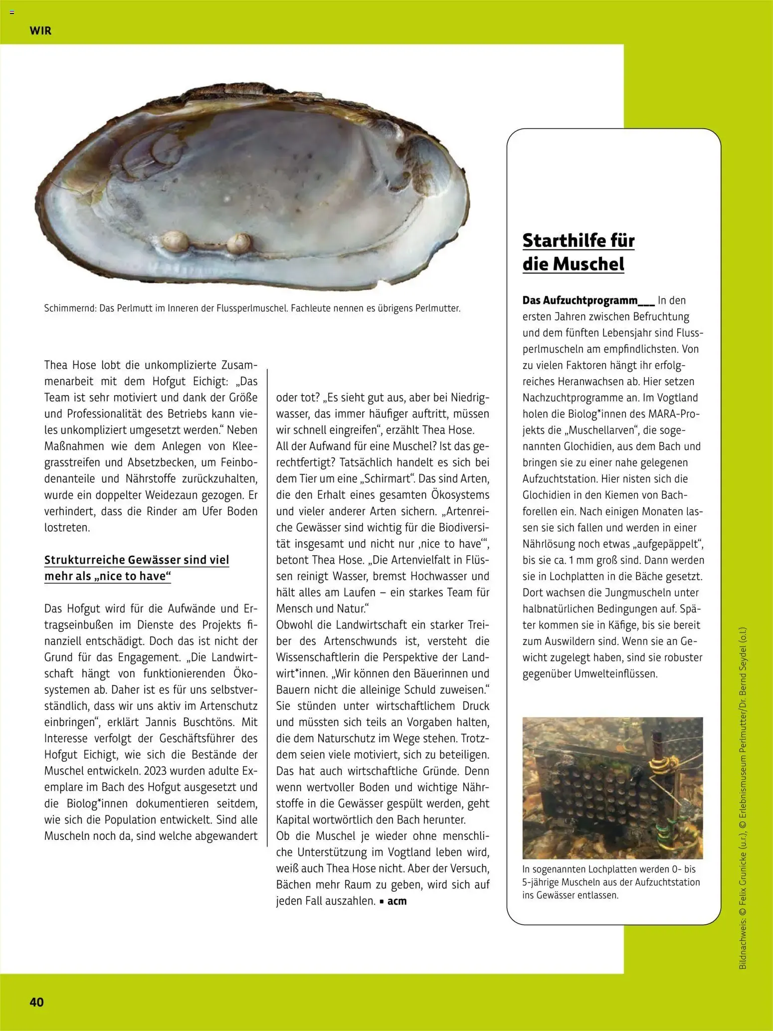 Das BioMarkt Magazin KREO von 17. Juli bis 30. September 2026 - Prospekt seite 39