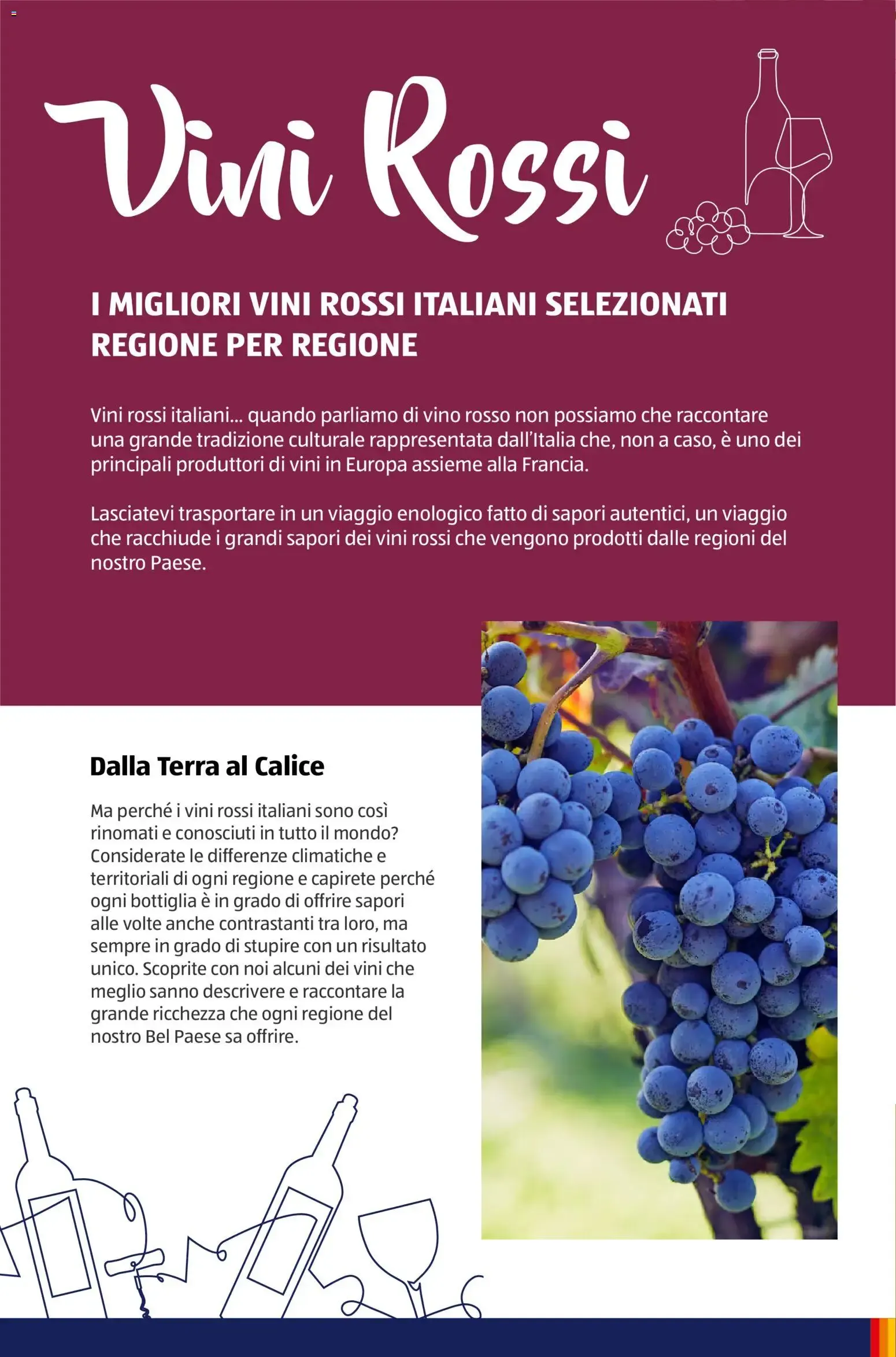 ALDI Vinoteca: Dalla Terra al Calice da 12 gennaio a 31 dicembre di 2026 - Pagina del volantino 8