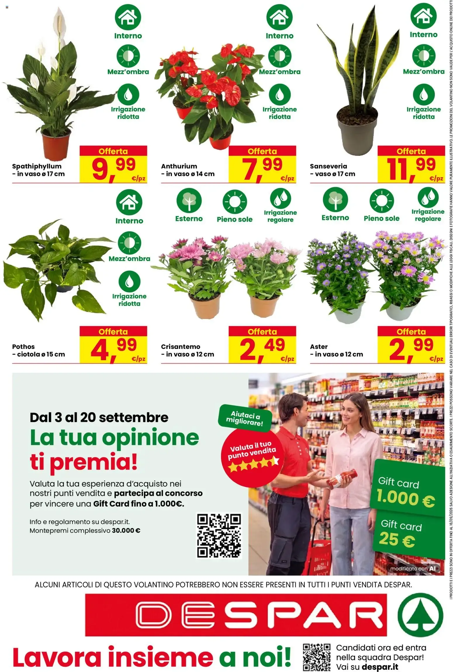 Nuovo Despar volantino dal 03/09/2026 > offerte anteprima 🛍️ da 3 settembre a 16 settembre di 2026 - Pagina del volantino 16