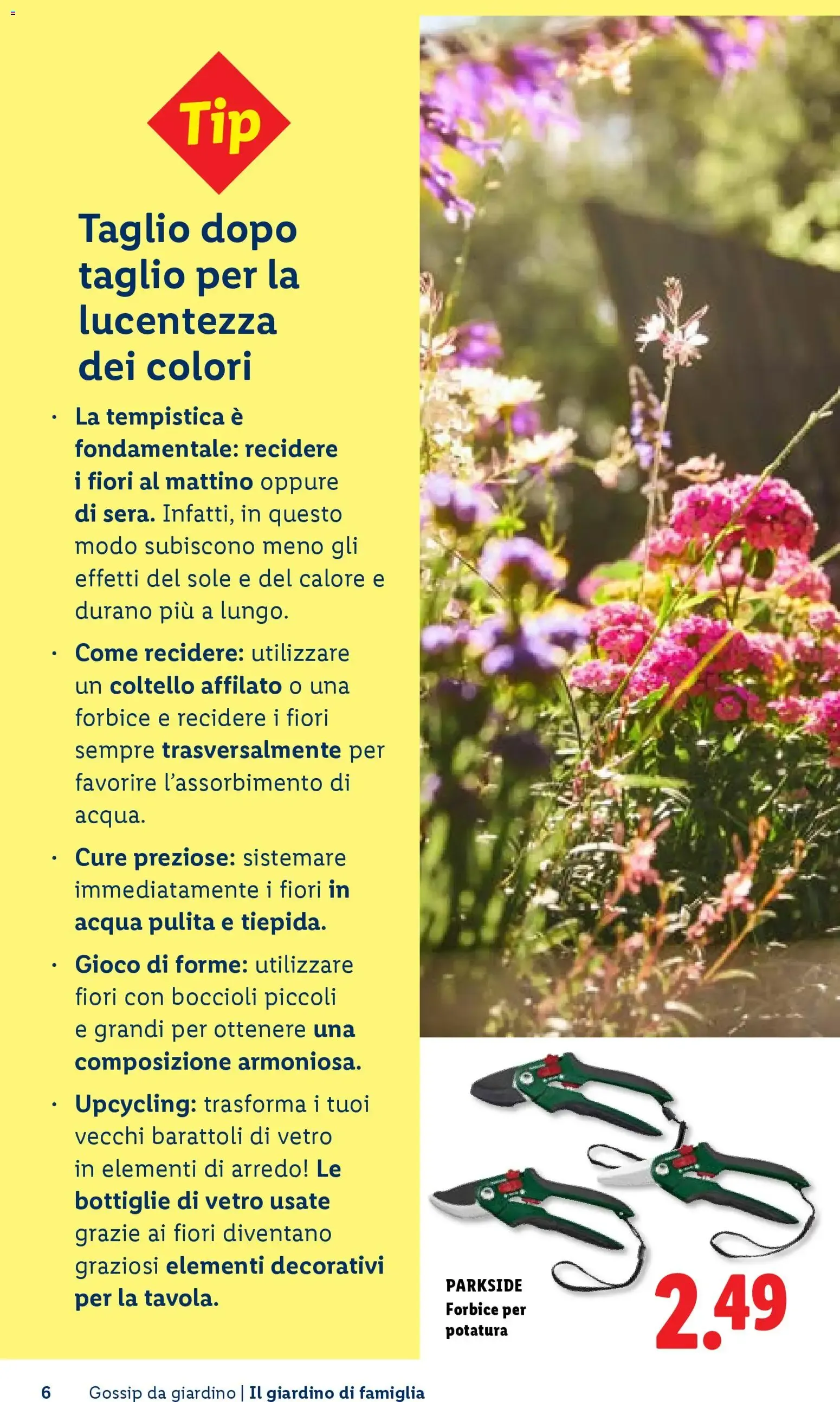 Vivi il tuo giardino - Rivista per il giardinaggio Primavera 2026 da 23 aprile a 1 luglio di 2026 - Pagina del volantino 6