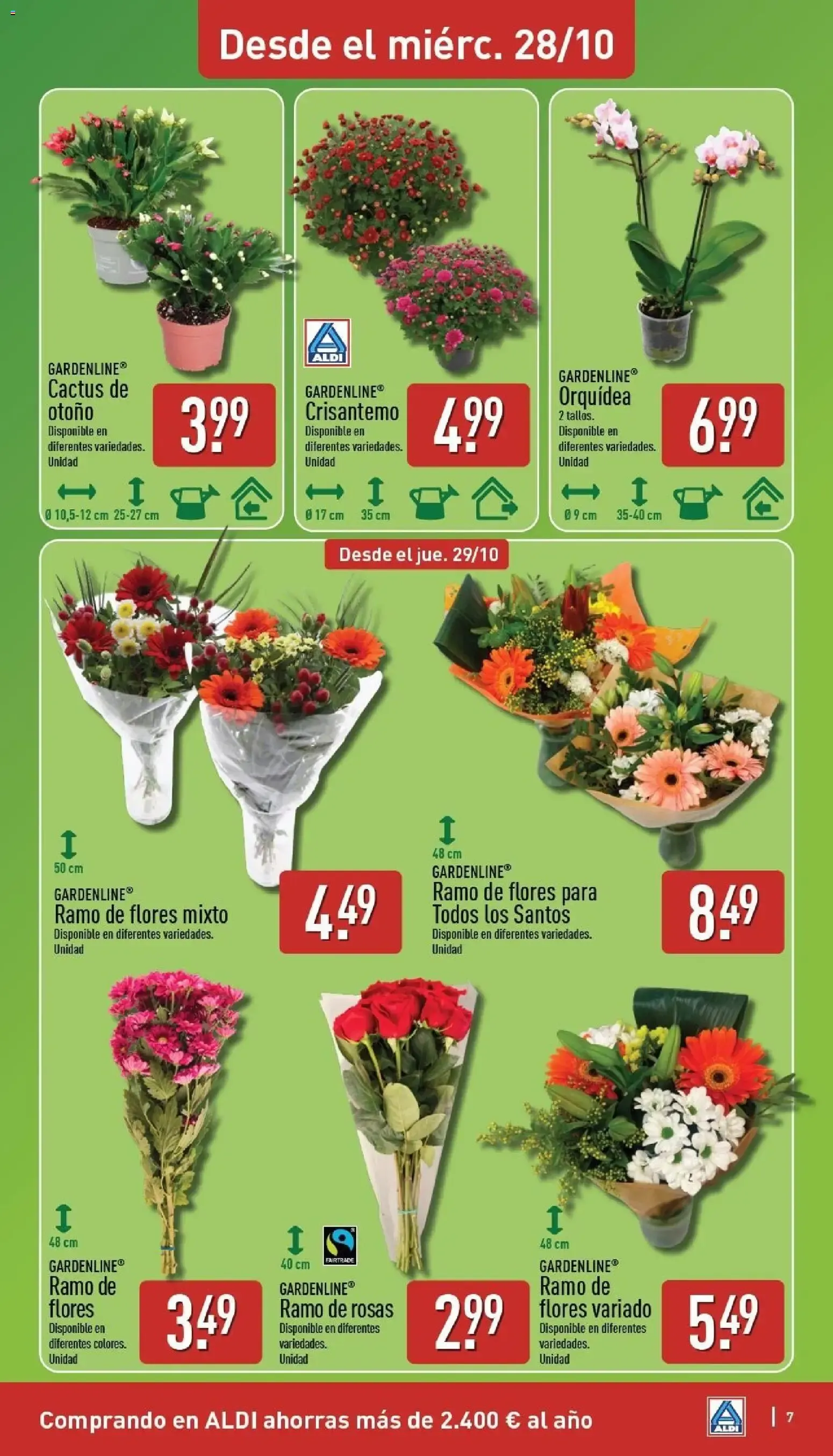 Catálogo de Aldi folleto Península del 26/10/2026 | Catálogo 26 de octubre al 1 de noviembre 2026 - Página 7
