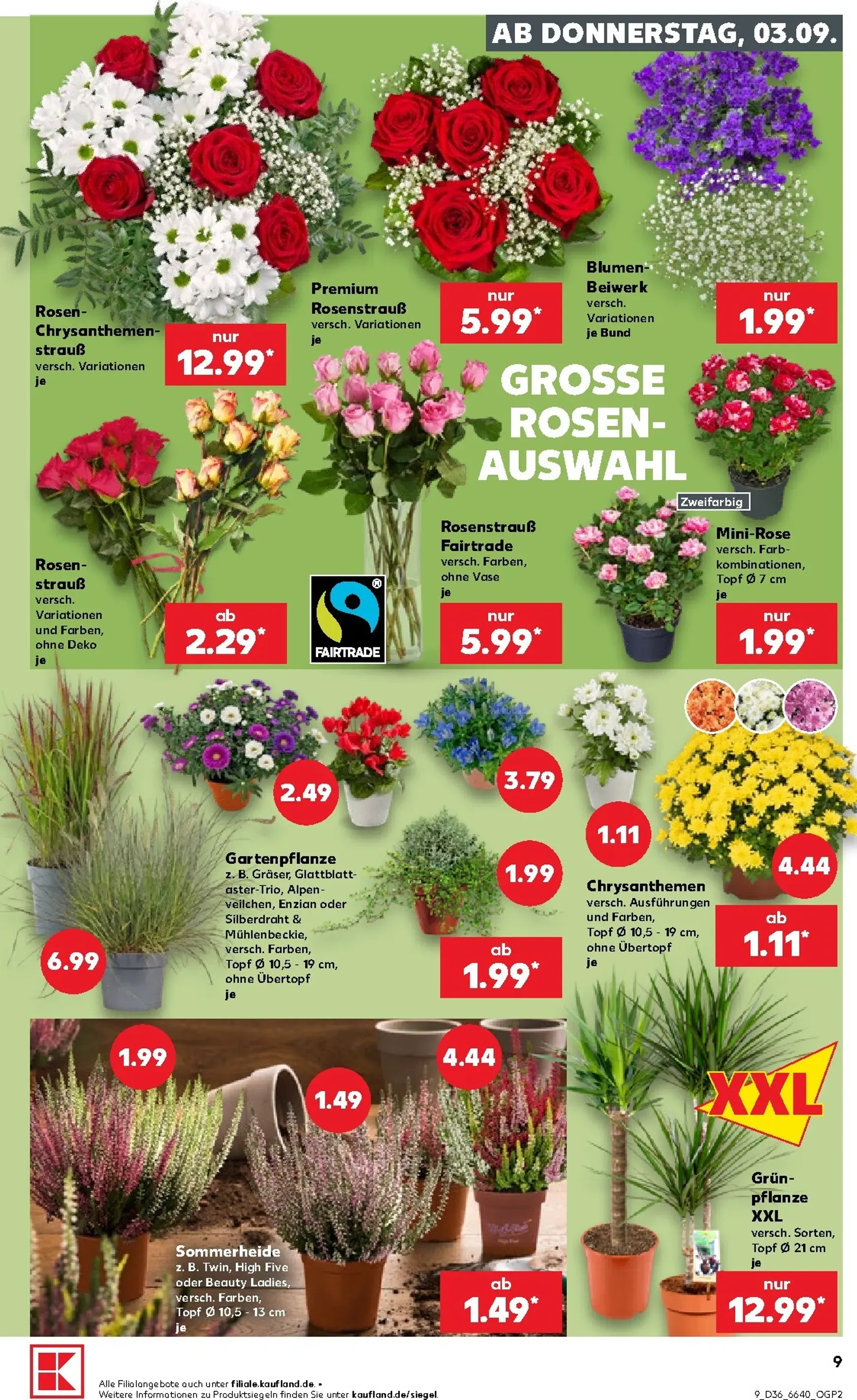 Neuer Kaufland Prospekt – von Donnerstag 03.09.2026 bis Mittwoch 09.09.2026 von 3. September bis 9. September 2026 - Prospekt seite 10