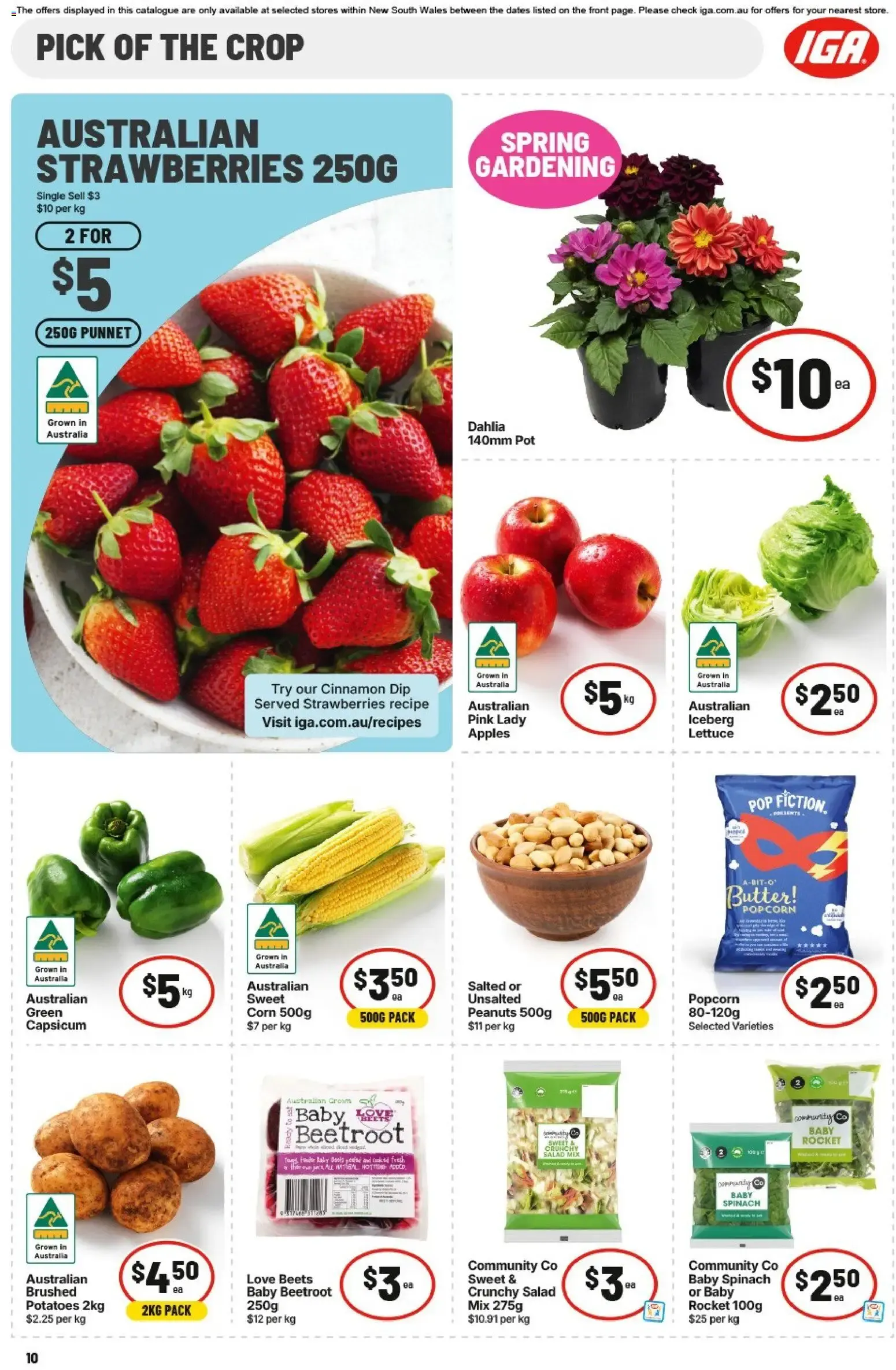 IGA Catalogue - Catalogue valid from 9 September to 15 September 2026 - page 11
