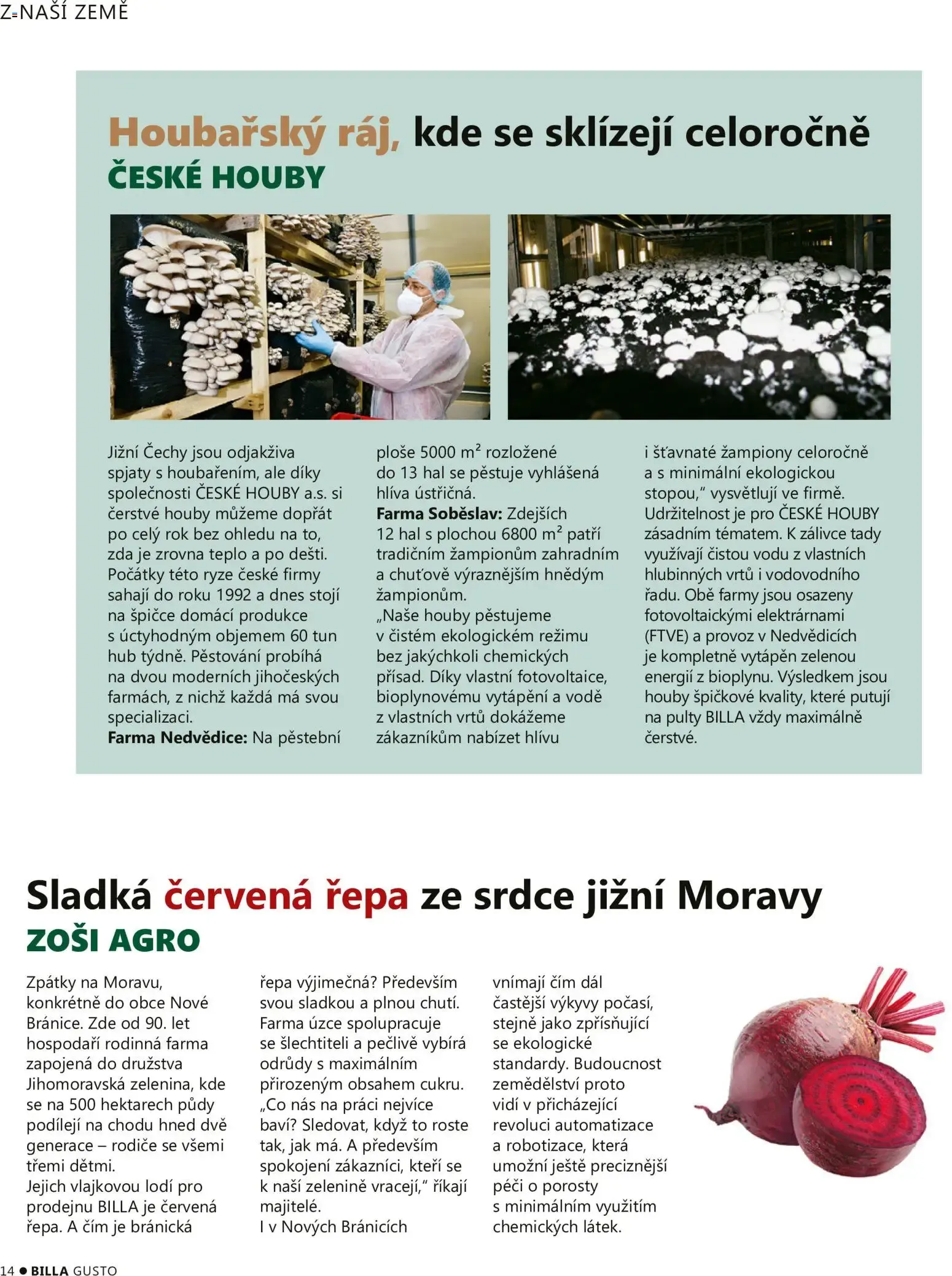 BILLA Gusto, Podzim 2026 - 1. září 30. listopadu 2026 - Page 14