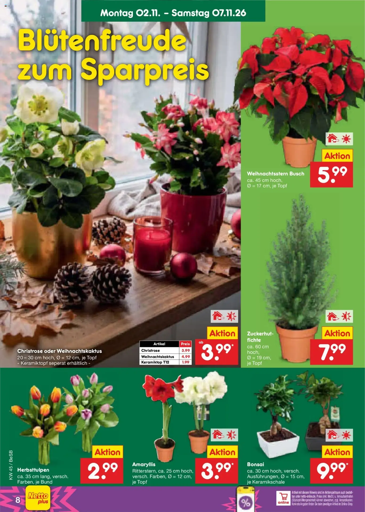 Netto Marken-Discount Prospekt (ab 02.11.2026) » Angebote von 2. November bis 7. November 2026 - Prospekt seite 12