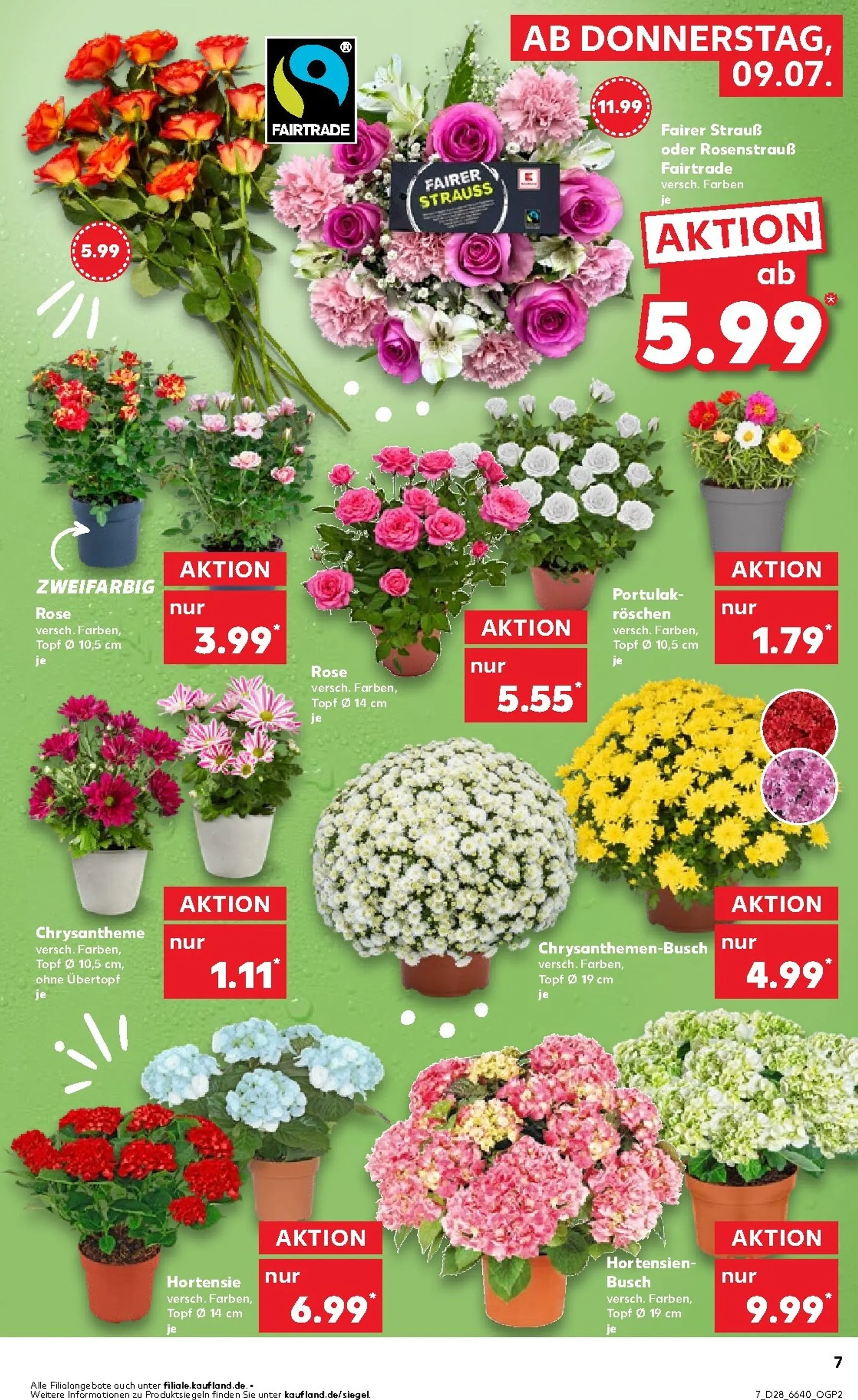Kaufland Prospekt nächste Woche – von Donnerstag 09.07.2026 bis Mittwoch 15.07.2026 von 9. Juli bis 15. Juli 2026 - Prospekt seite 7