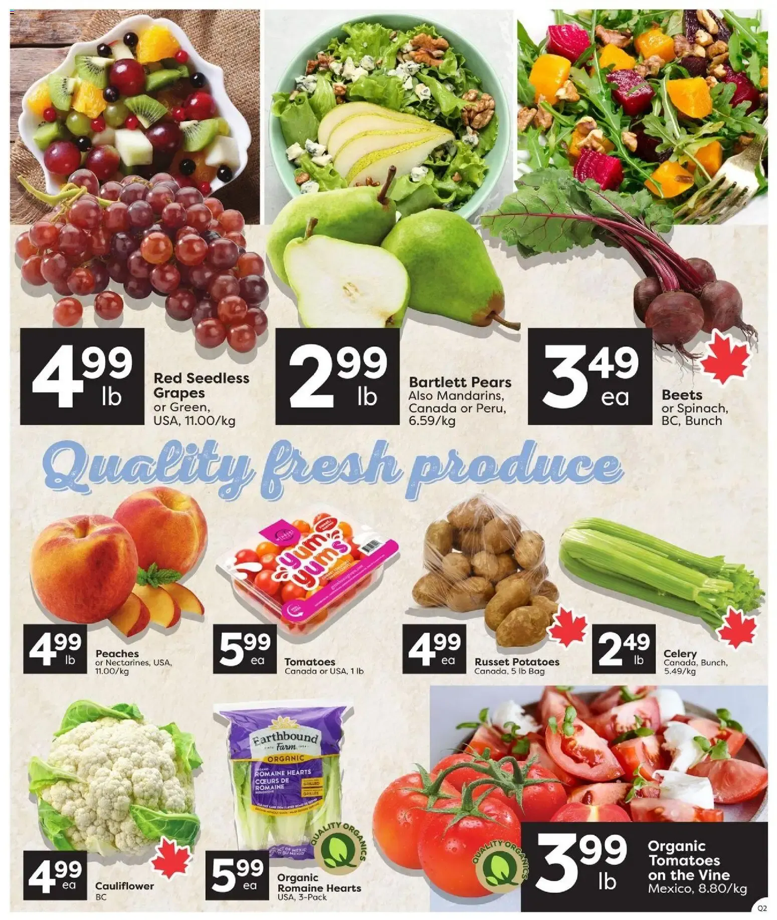 Quality Foods weekly flyer / circulaire from Sep 3, 2026 > weekly specials & deals from September 3 to September 9 2026 - flyer page 3