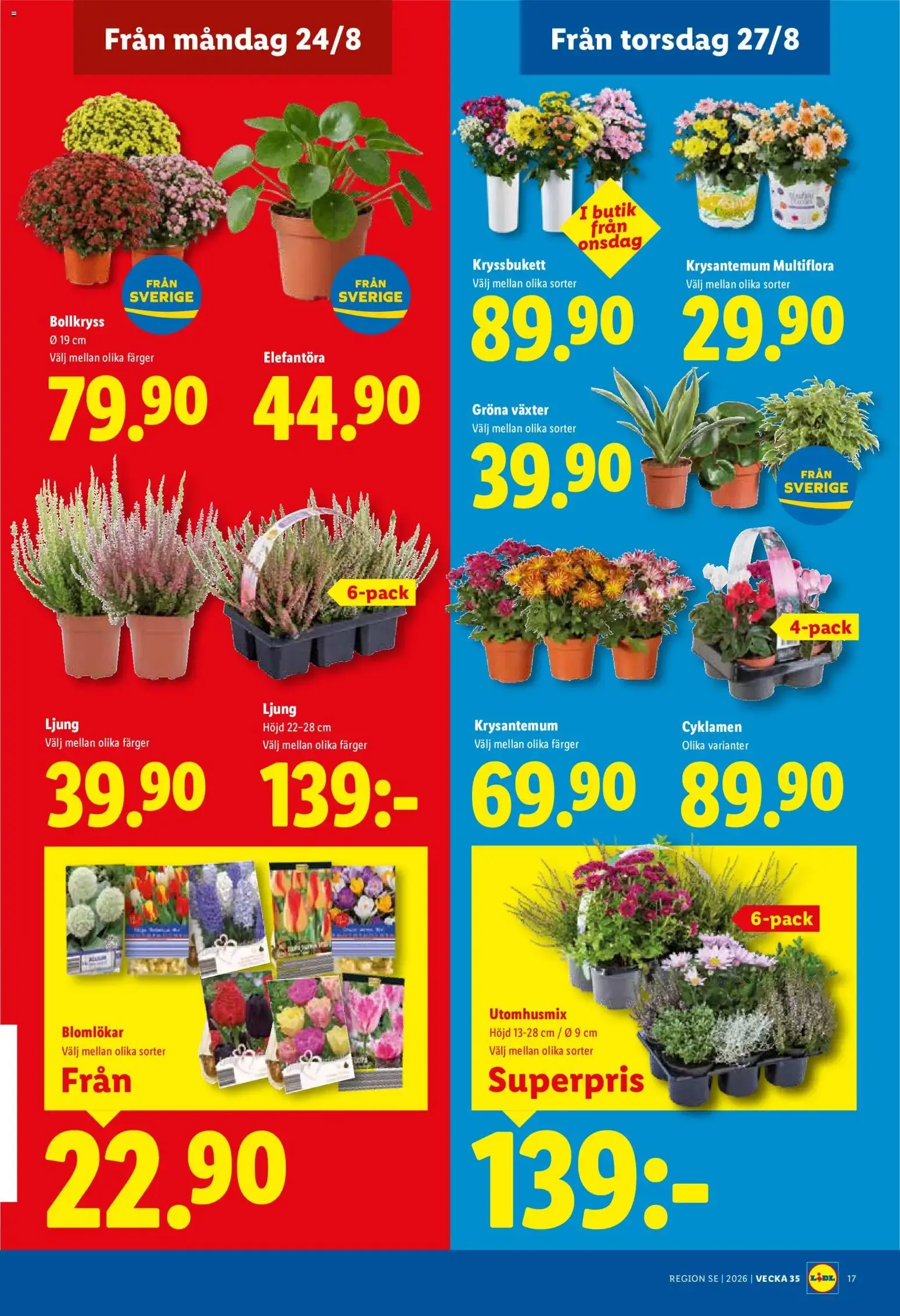 Lidl erbjudanden från 24/08/2026 - 30/08/2026 > Reklamblad nuvarande rabatter från 24 augusti till 30 augusti 2026 - Reklamblad sidor 19