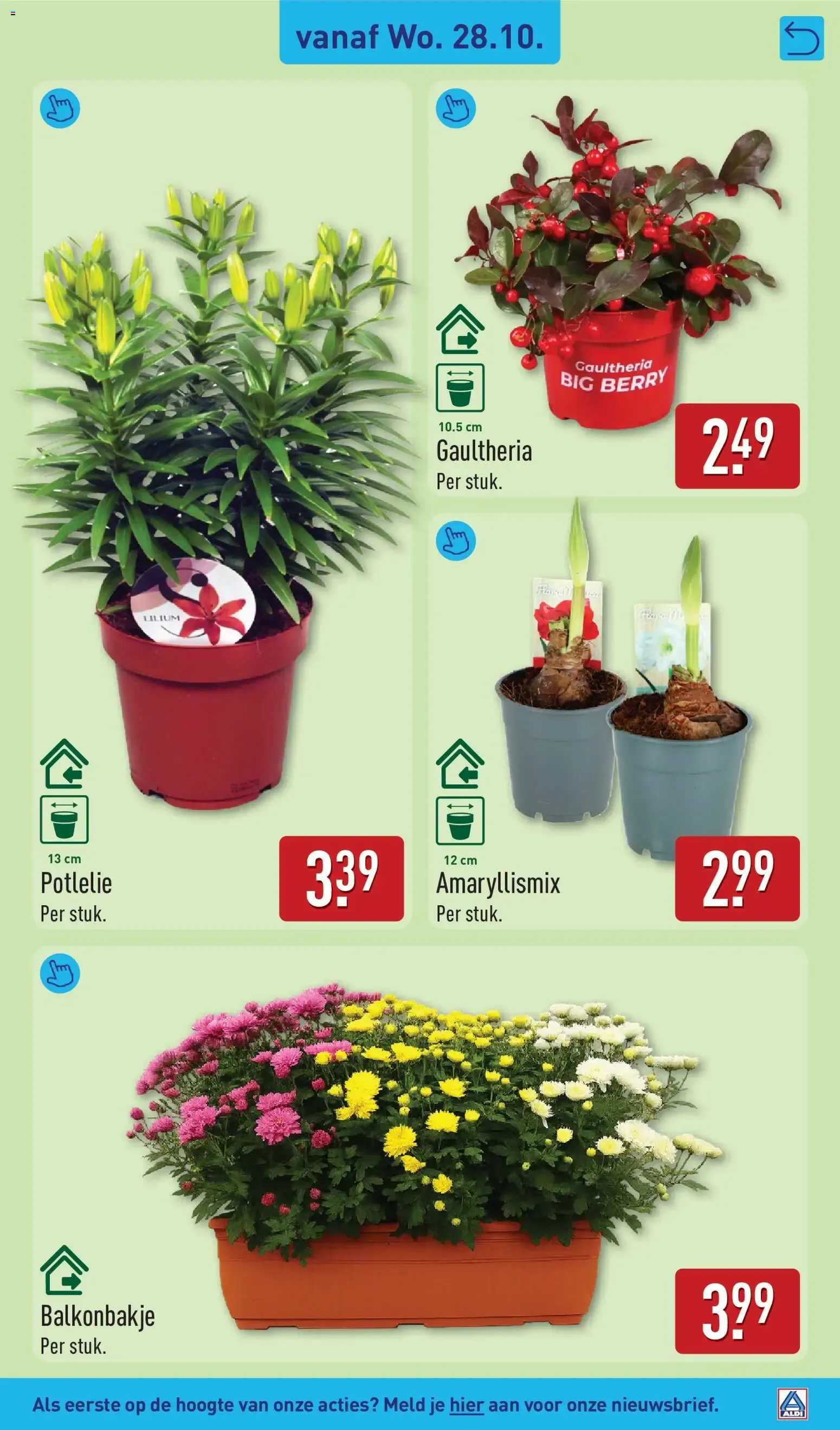 Aldi folder vanaf 26-10-2026 (volgende, deze week) van 26 oktober tot 1 november 2026 - Folder pagina 37