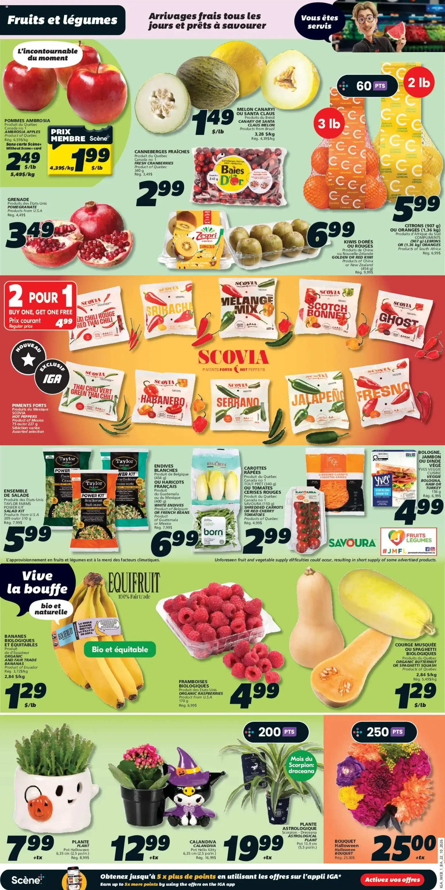 IGA weekly flyer / circulaire from Oct 22, 2026 > weekly specials & deals from October 22 to October 28 2026 - flyer page 3