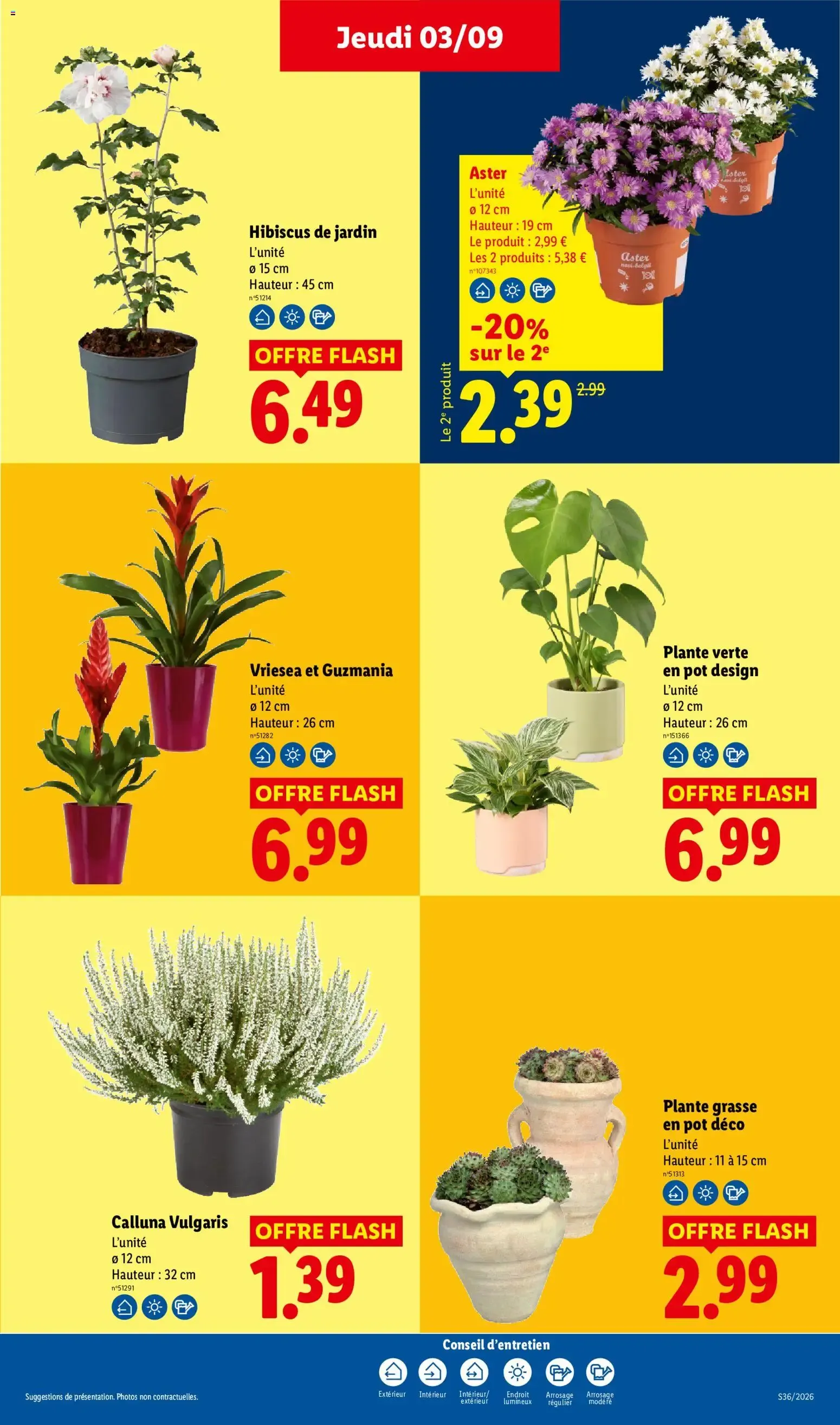 Lidl - Foire aux vins du 3 septembre au 9 septembre 2026 - Catalogue page 35