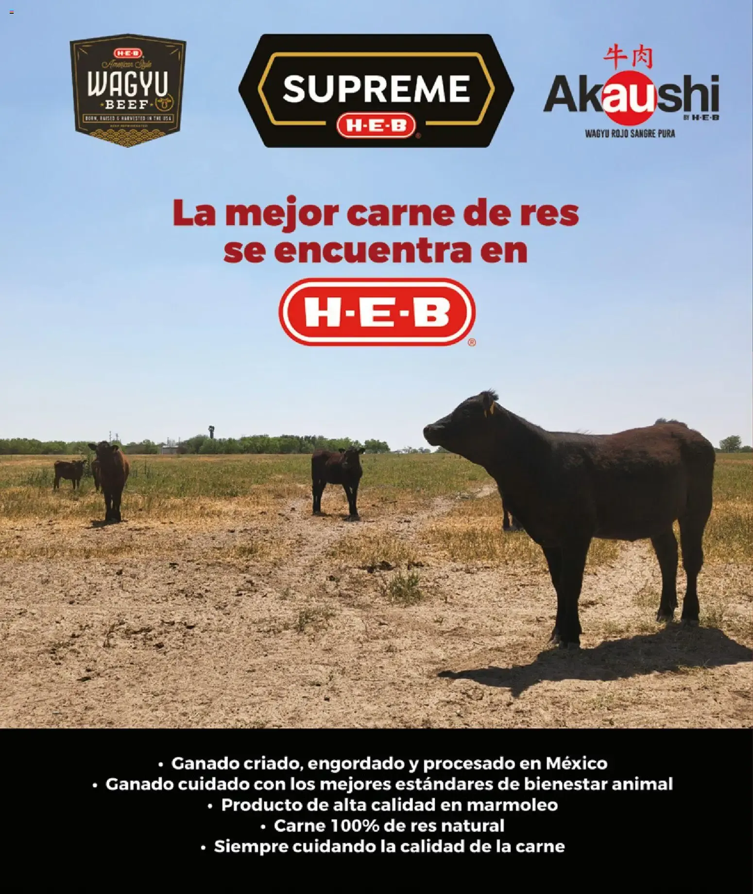Catálogo de H-E-B folleto Celebra (01/05/2026 - 30/06/2026) - catálogo en línea 1 de mayo al 30 de junio 2026 - Pagina 50
