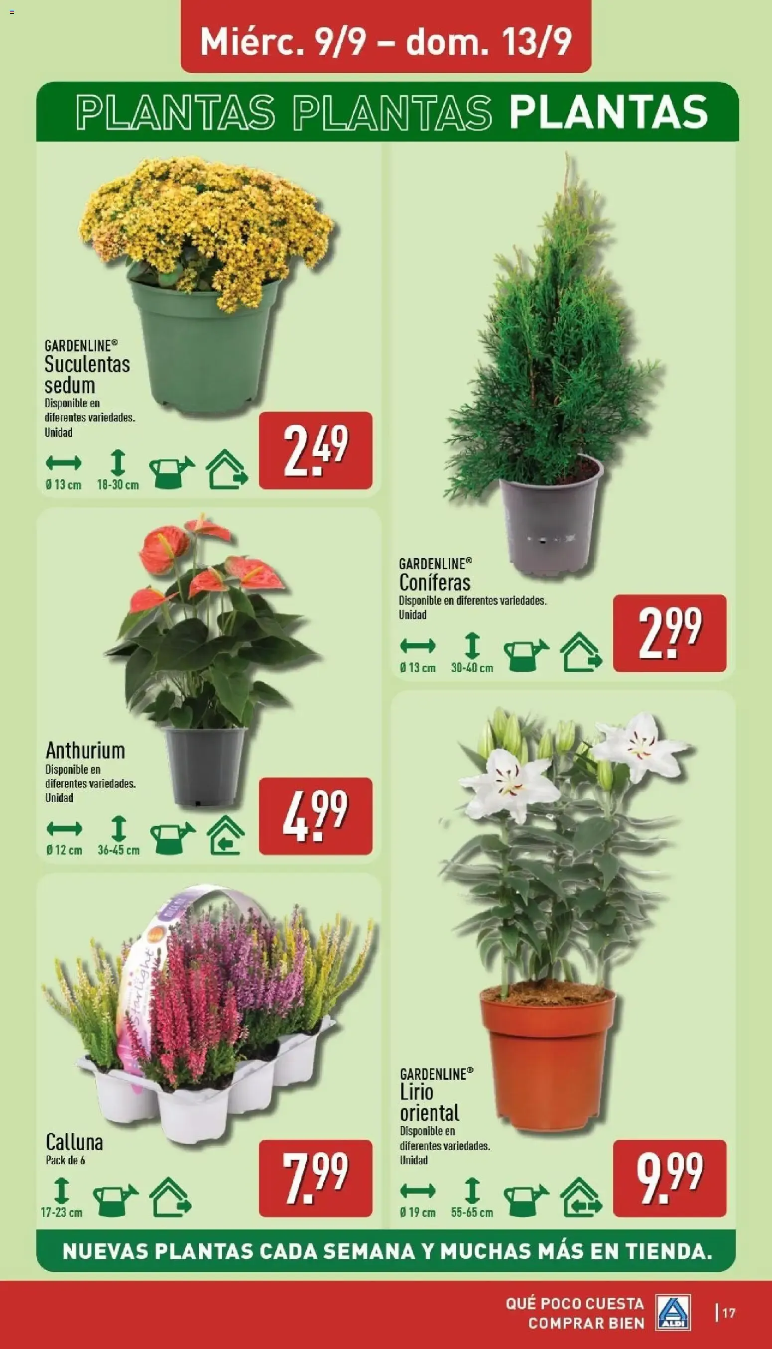 Catálogo de Aldi: Ahorra más de 2.400€ al año 7 de septiembre al 13 de septiembre 2026 - Página 17