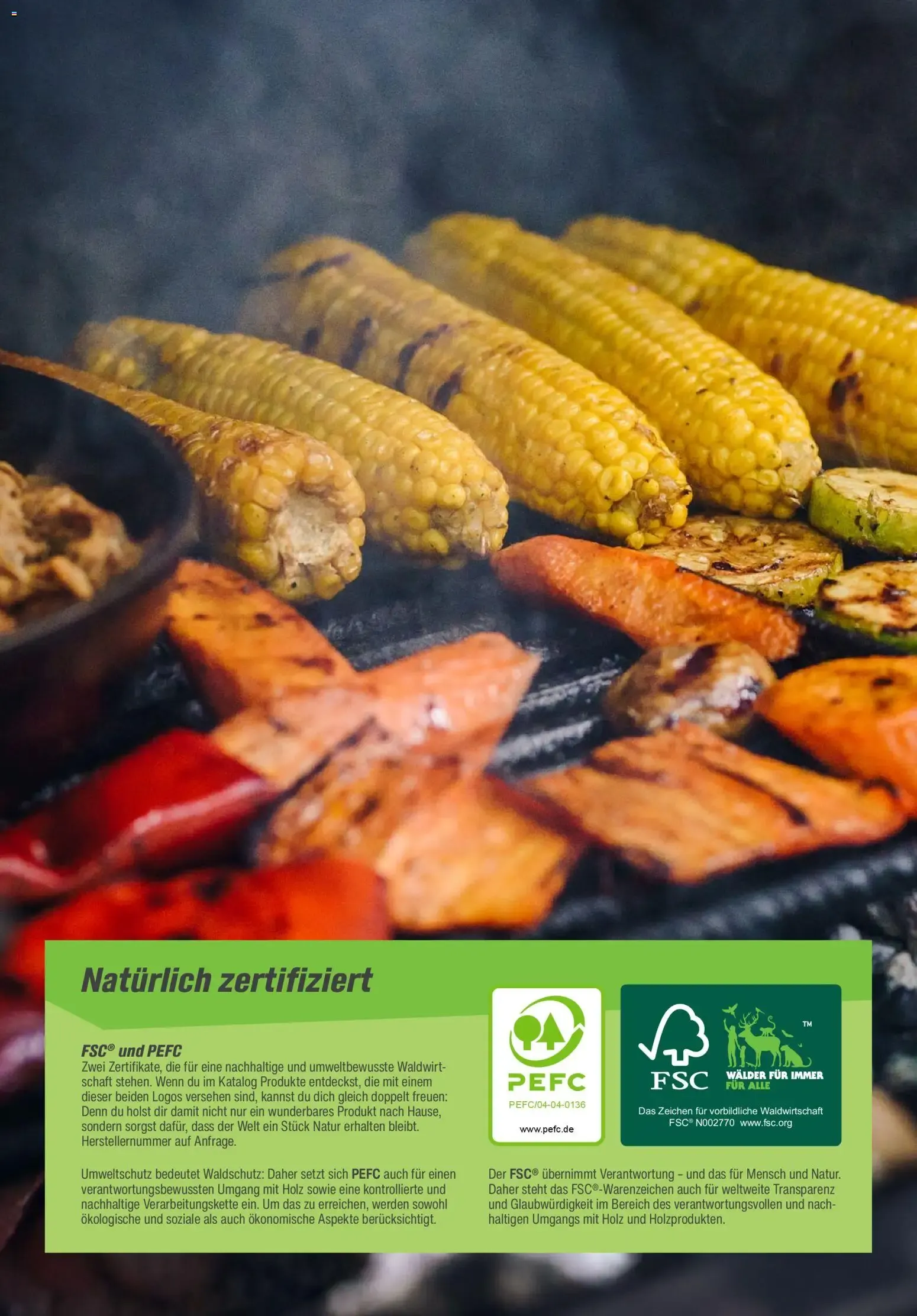Toom Baumarkt Grills & Zubehör 2026 (ab 14.02.2026) zum Blättern von 14. Februar bis 31. Dezember 2026 - Prospekt seite 2
