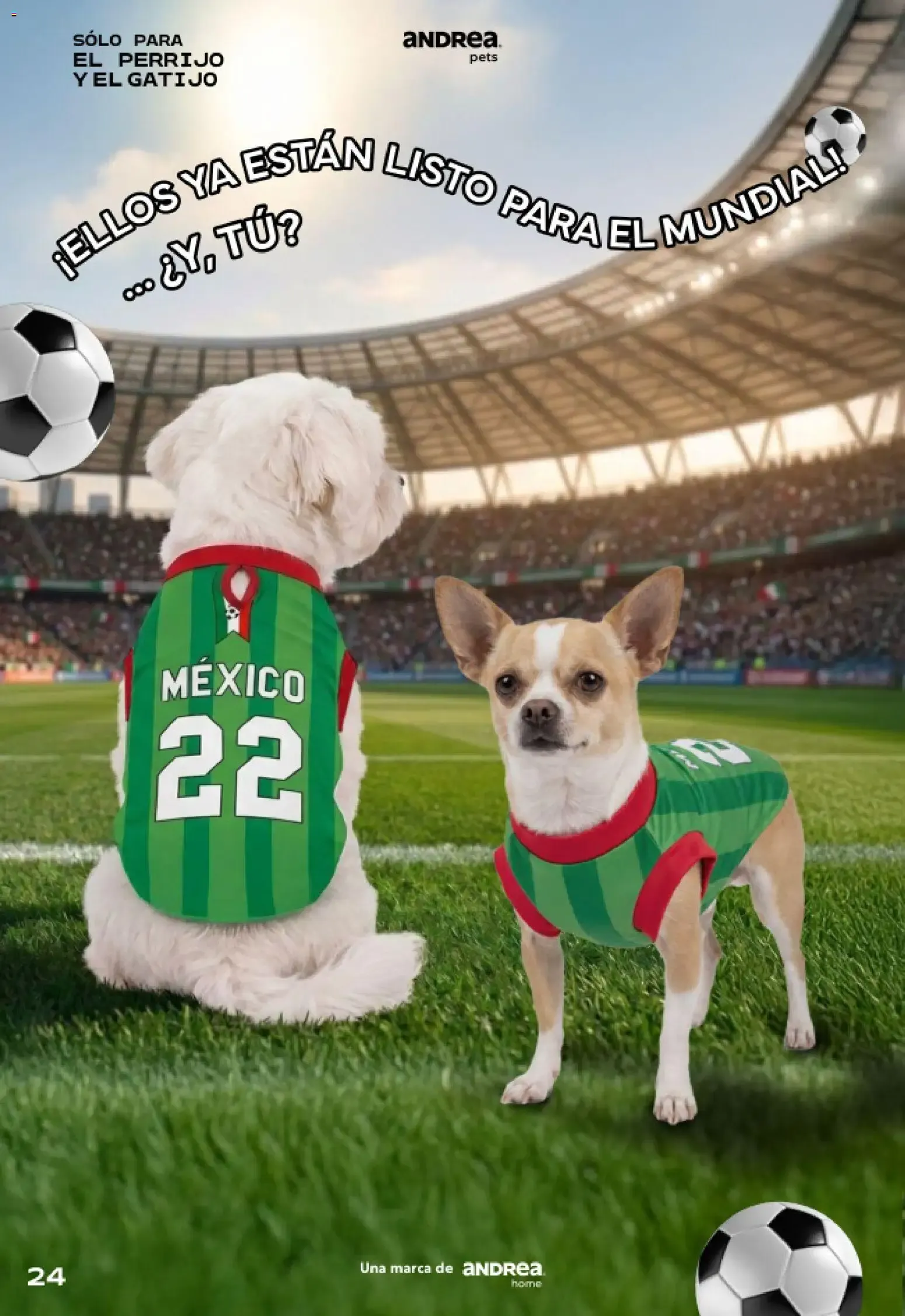 Catálogo de Andrea catálogo Pets 2026 - Catálogos en línea de 24/05 - 22/08 24 de mayo al 22 de agosto 2026 - Pagina 24
