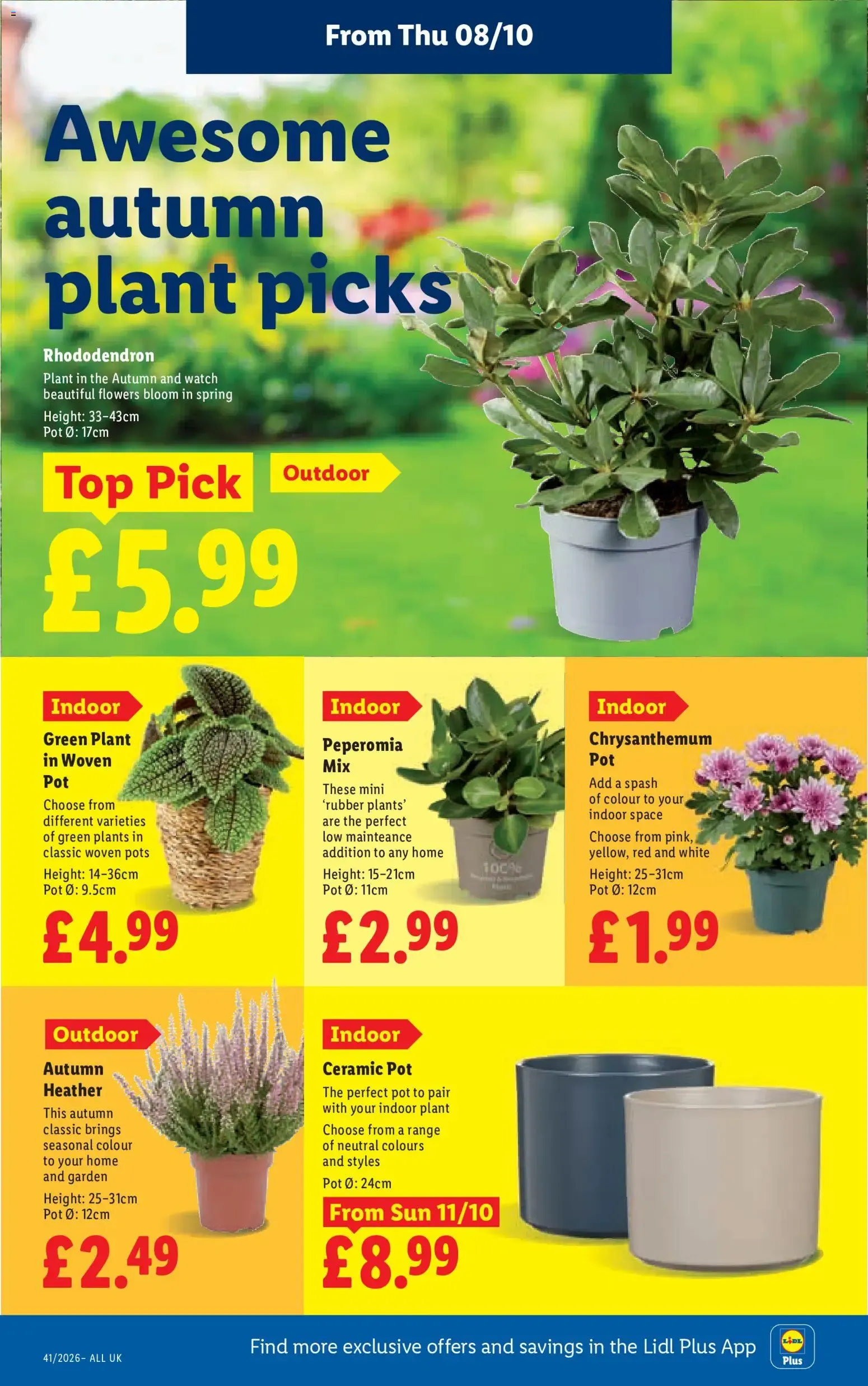 Weekly offers Lidl Wales (08/10/2026 - 14/10/2026) - Offers Online from 8 October to 14 October 2026 - Catalogue Page 26
