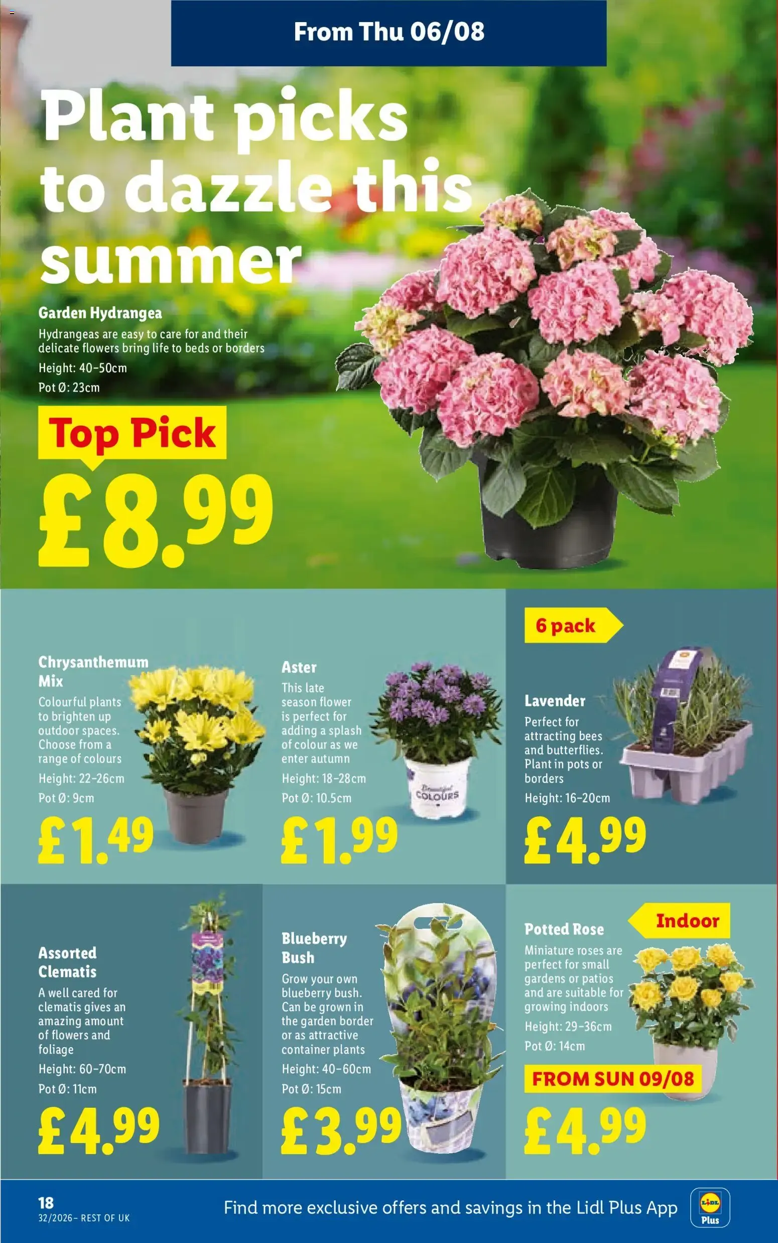 Weekly offers Lidl (06/08/2026 - 12/08/2026) - Offers Online from 6 August to 12 August 2026 - Catalogue Page 22