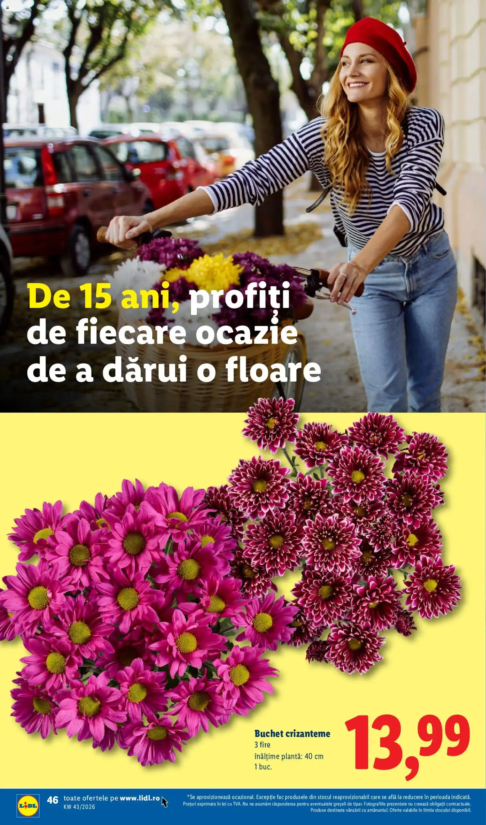 Catalog Catalog LIDL 19.10.2026 - Oferta și Revista online de la 19 octombrie până la 25 octombrie 2026 - Revista Pagina 45