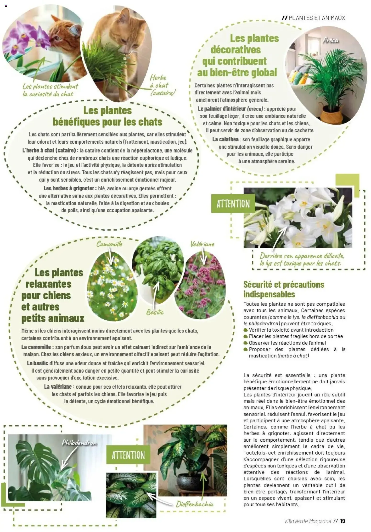 VillaVerde MAGAZINE ANIMALERIE 2026 du 28 mai au 31 août 2026 - Catalogue page 17