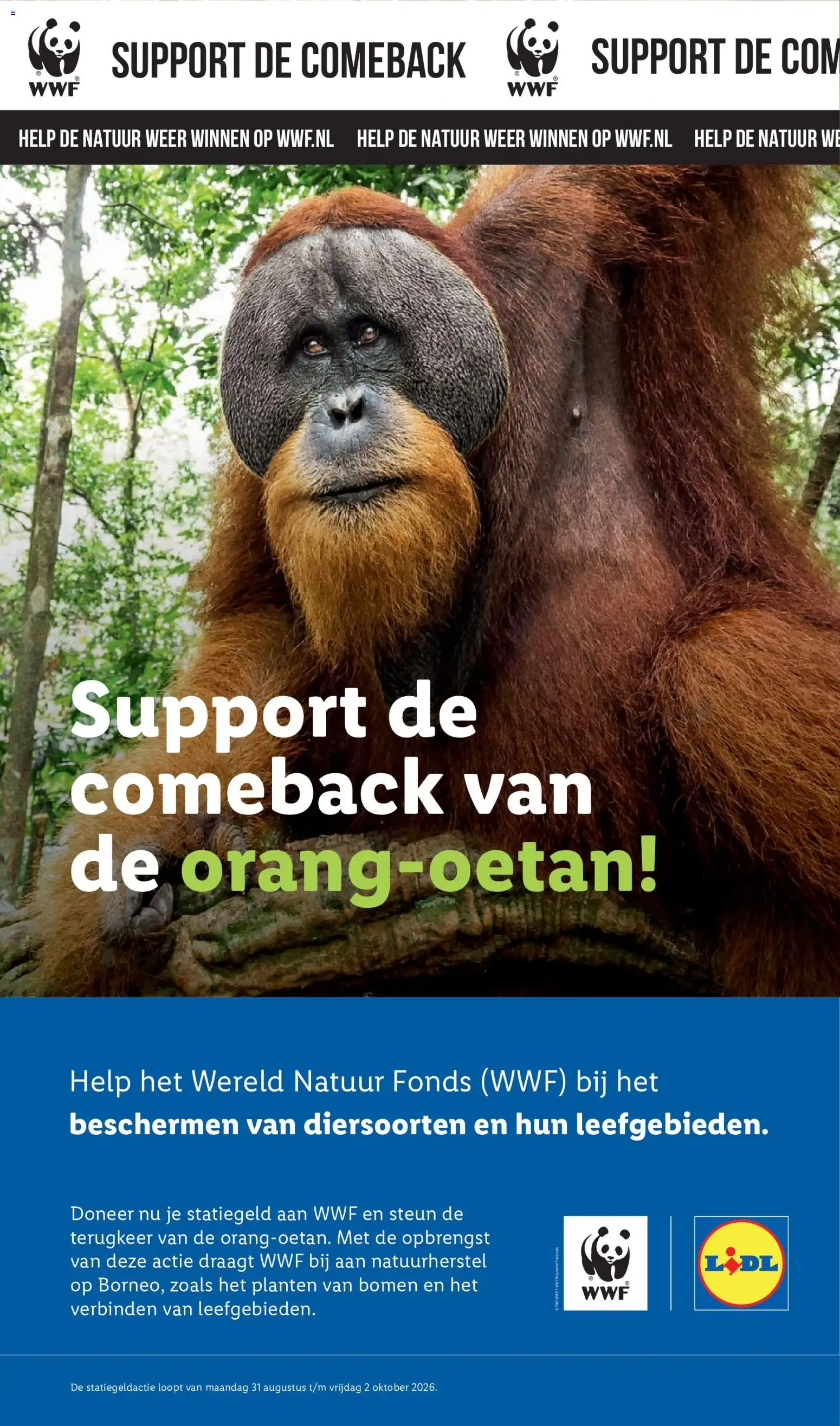 Lidl folder: Spaar voor gratis Lidl Tuintjes van 31 augustus tot 6 september 2026 - Folder pagina 49