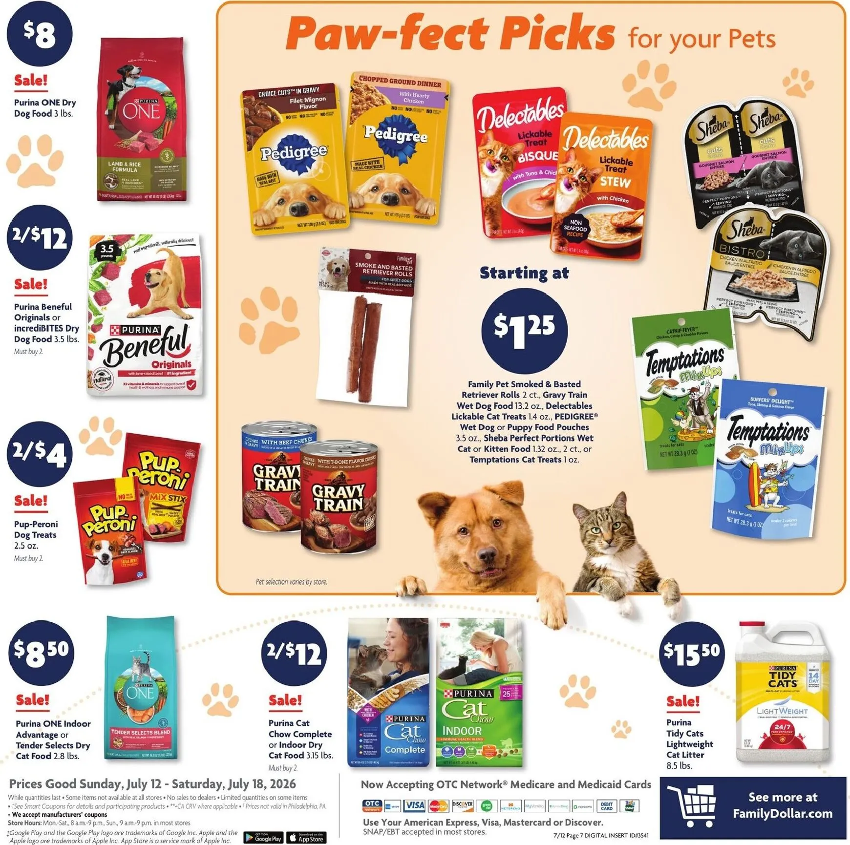 Weekly ad Current Family Dollar leaflet valid from Sunday 07/12/2026 to Saturday 07/18/2026 from July 12 to July 18 2026 - Page 13