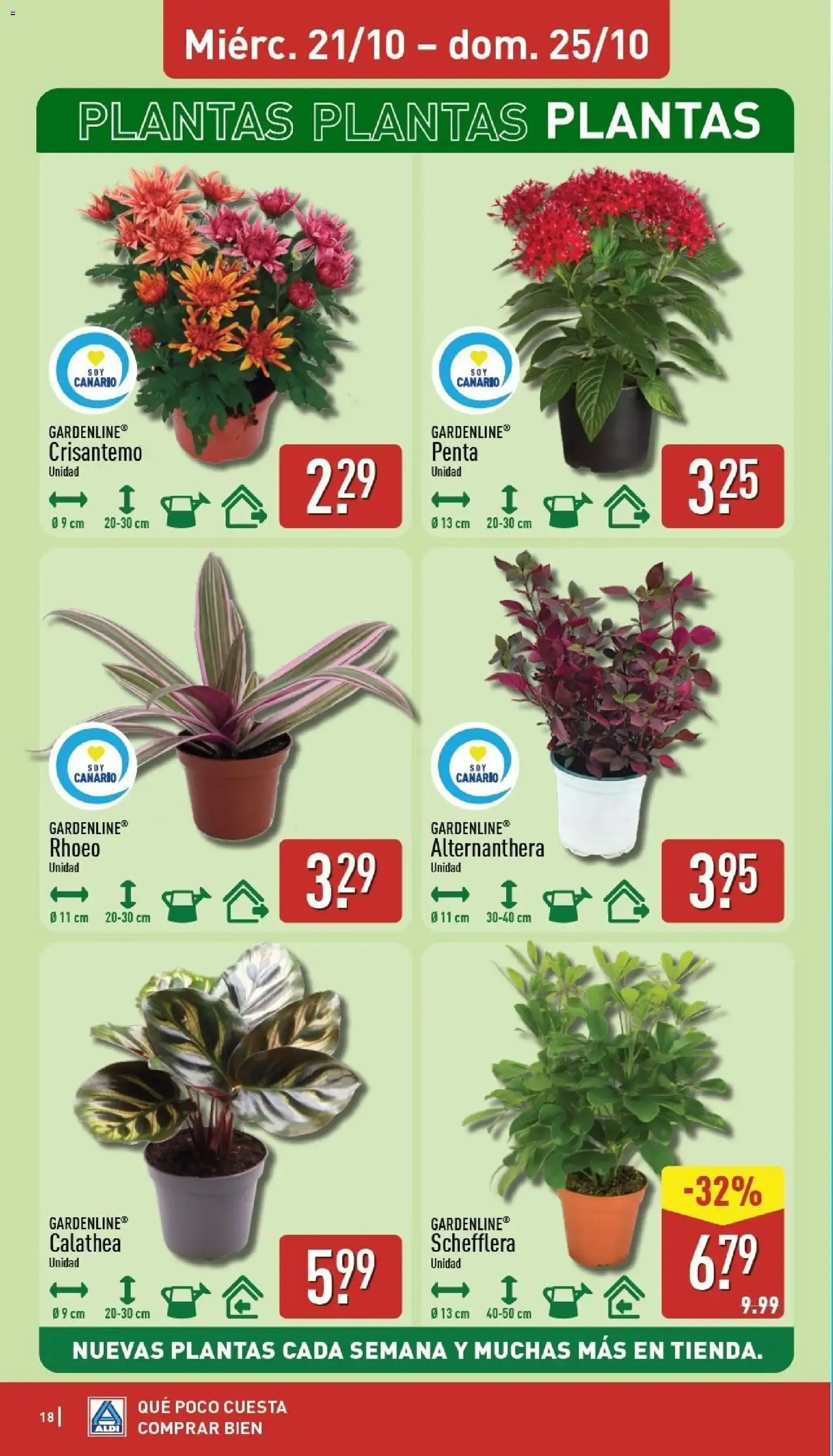 Catálogo de Aldi folleto Canarias del 19/10/2026 | Catálogo 19 de octubre al 25 de octubre 2026 - Página 18