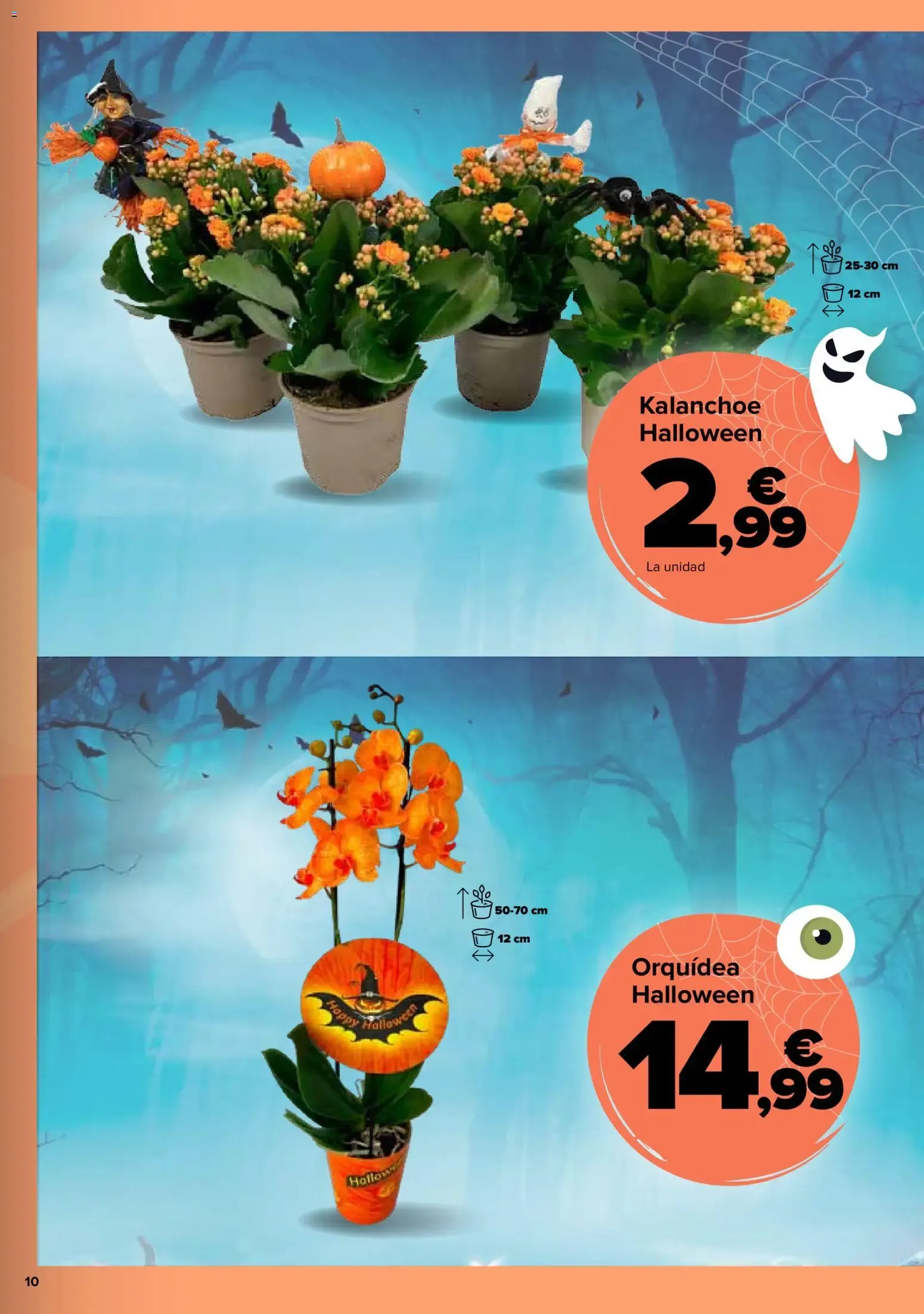 Catálogo de Carrefour Halloween del 06/10/2026 | Catálogo 6 de octubre al 31 de octubre 2026 - Página 10