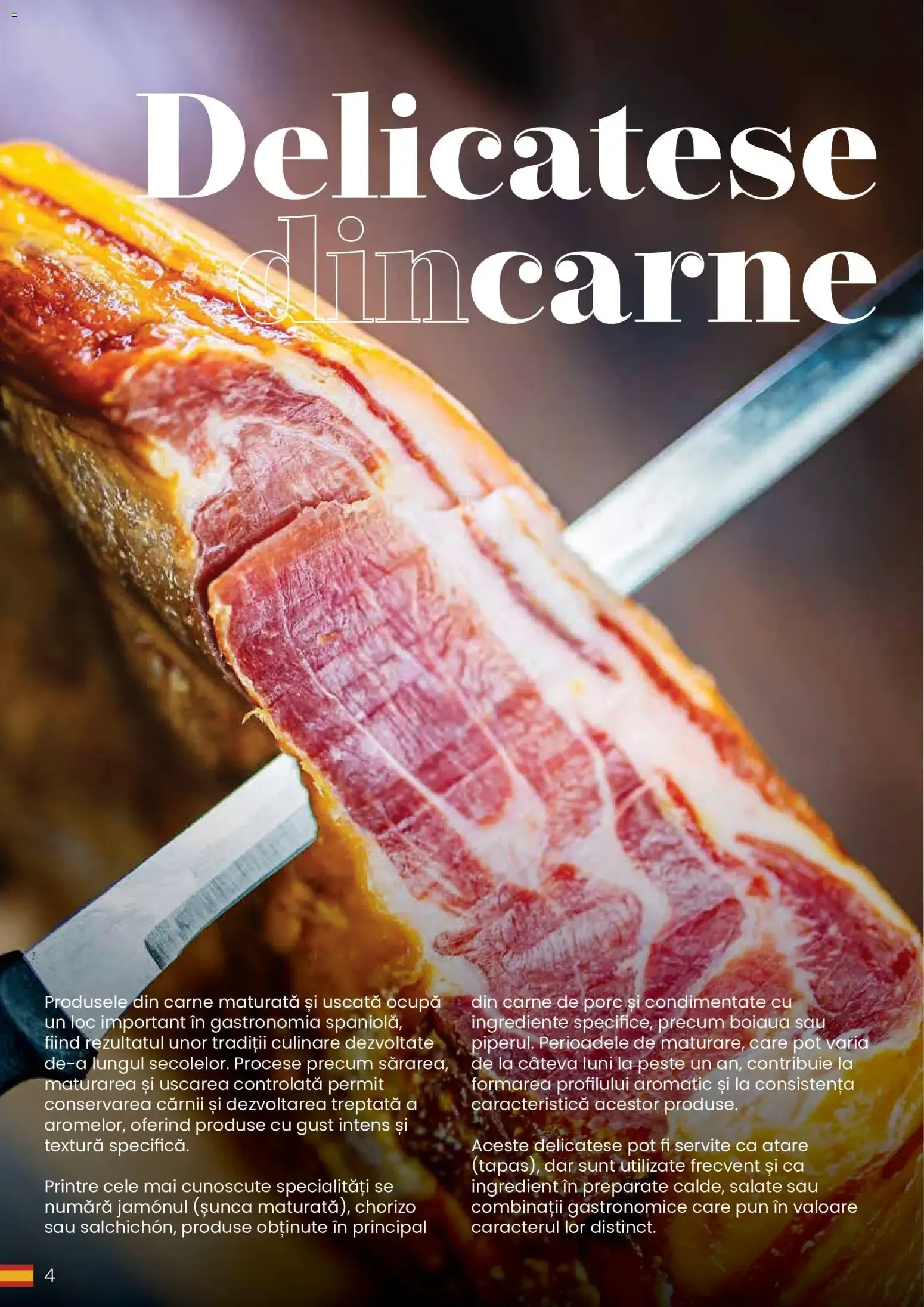 Catalog Metro Catalog Eat Spain, drink Spain - Oferta 30.03.2026 - 31.12.2026 de la 30 martie până la 31 decembrie 2026 - Revista Pagina 4