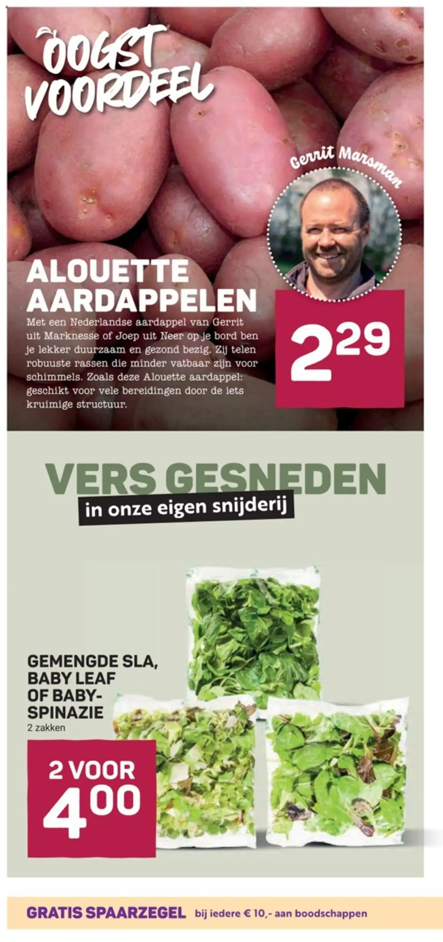 Ekoplaza: De zon in je glas van 15 juli tot 21 juli 2026 - Folder pagina 10