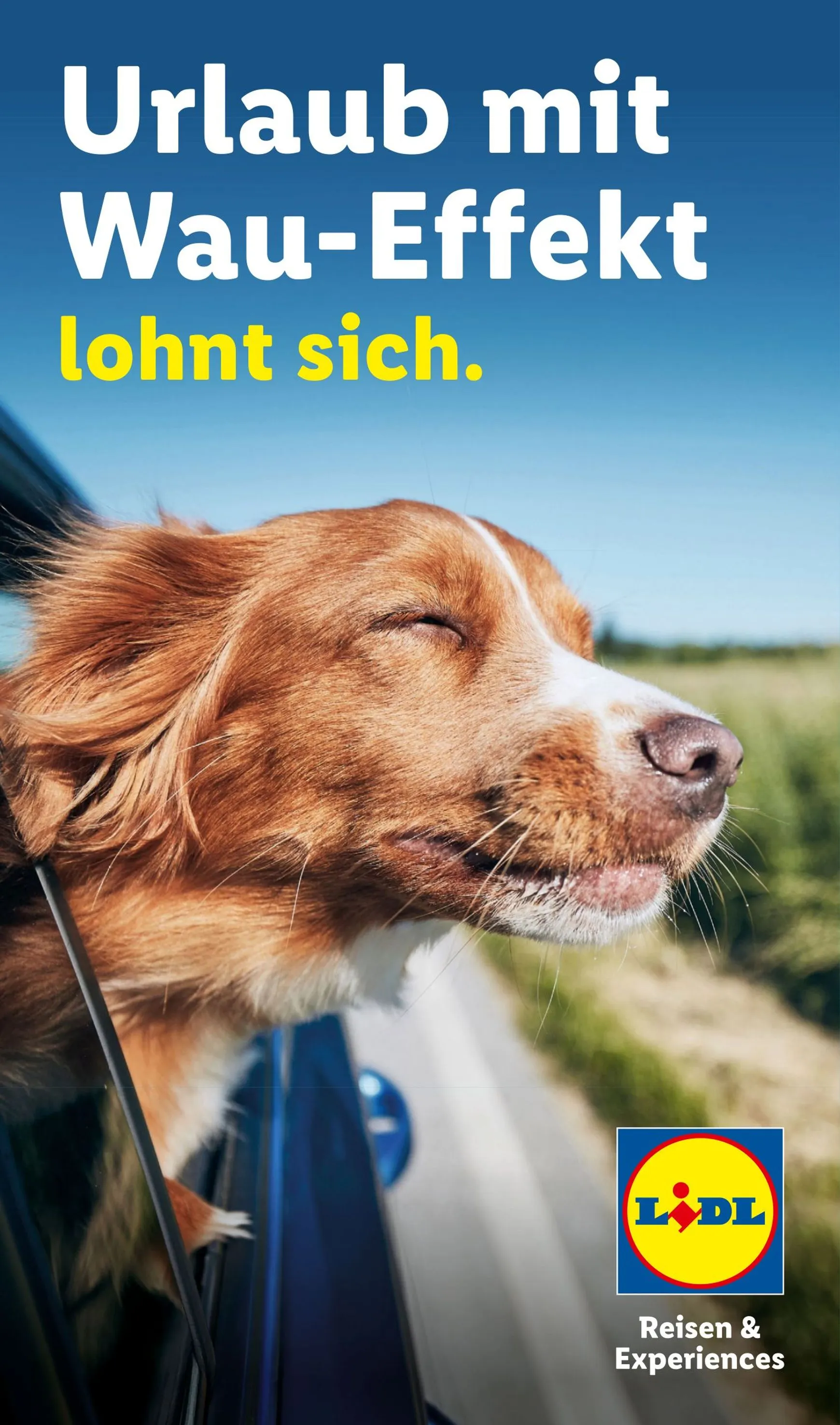 Lidl - Urlaub mit Wau-Effekt lohnt sich Prospekt – von Mittwoch 29.07.2026 bis Montag 31.08.2026 von 29. Juli bis 31. August 2026 - Prospekt seite 1