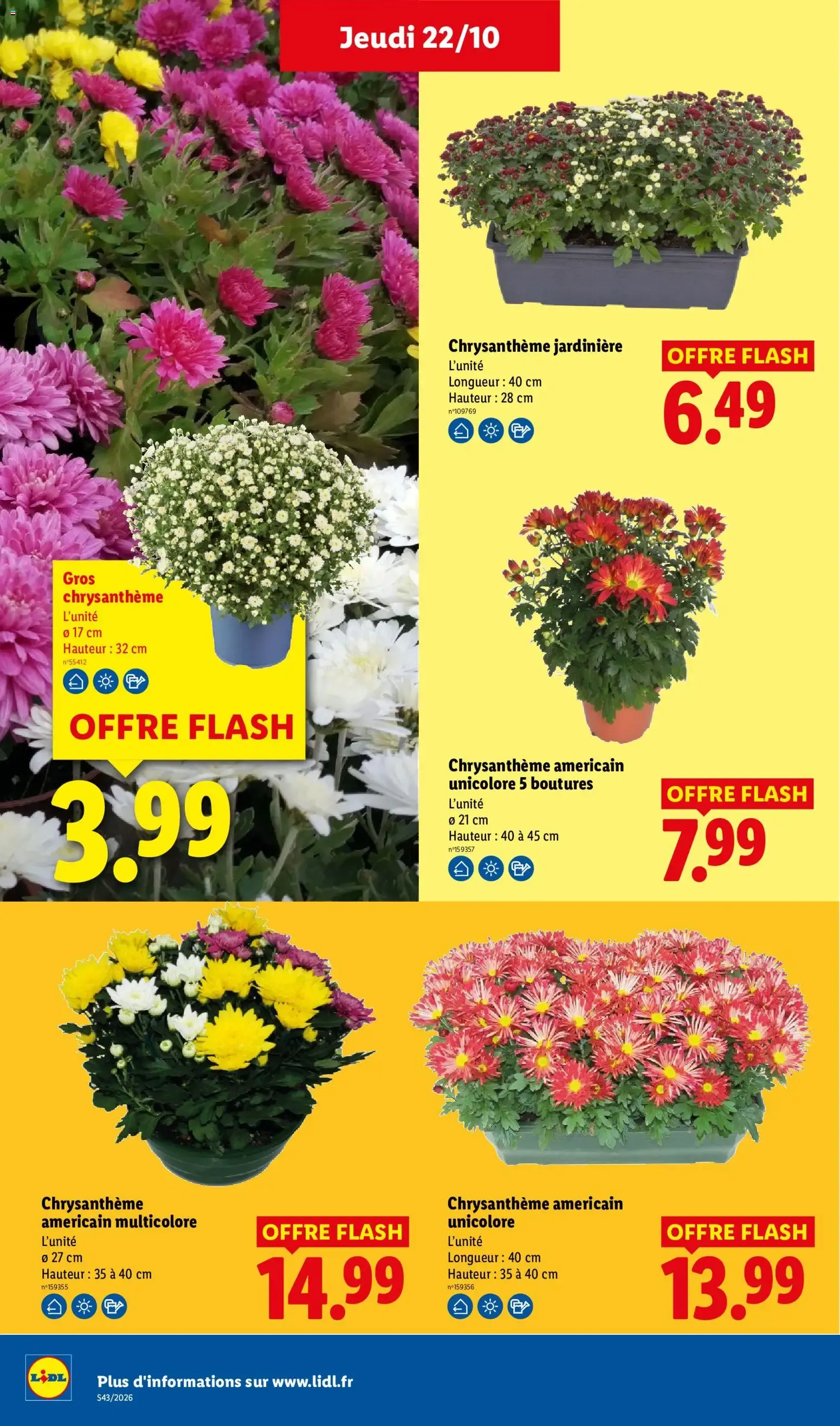 Lidl: Le Moins Toujours Plus du 22 octobre au 28 octobre 2026 - Catalogue page 33
