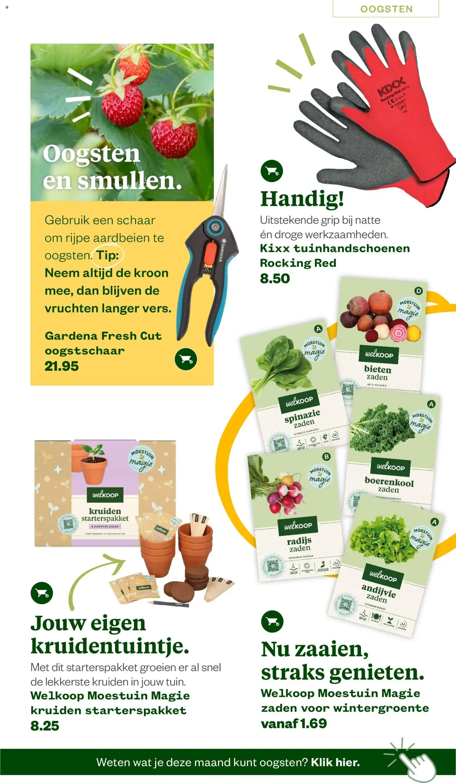 Welkoop Zomermagazine 2026 van 22 juni tot 23 augustus 2026 - Folder pagina 5