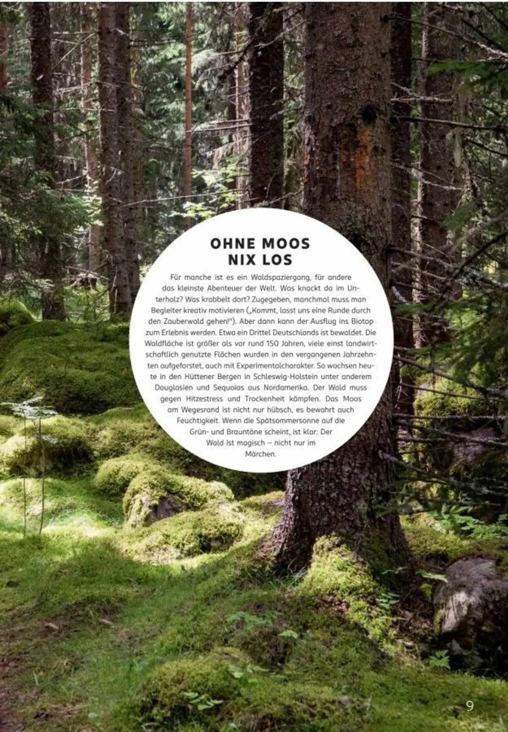 centaur Magazin von 1. September bis 30. September 2026 - Prospekt seite 10