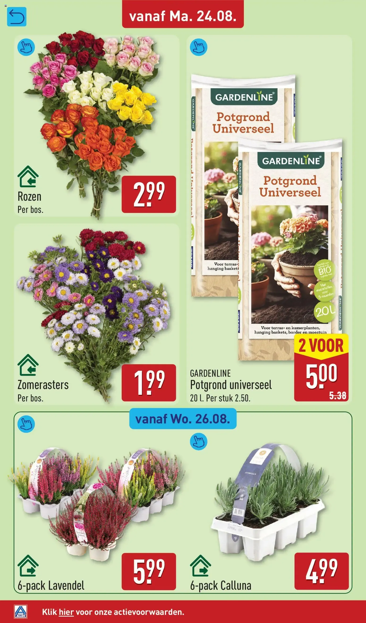 Aldi folder vanaf 24-08-2026 (volgende, deze week) van 24 augustus tot 30 augustus 2026 - Folder pagina 46