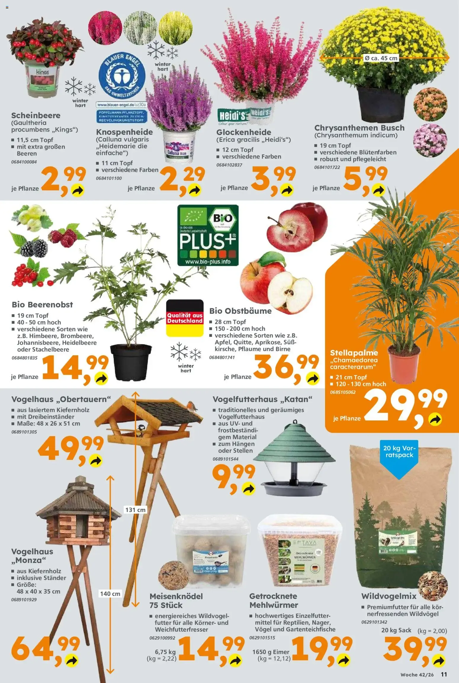 Globus Baumarkt Prospekt (ab 12.10.2026) zum Blättern von 12. Oktober bis 17. Oktober 2026 - Prospekt seite 11
