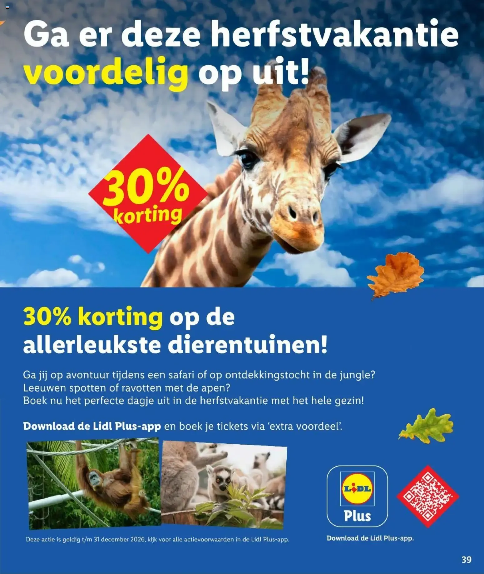 Proef de herfst van 23 september tot 1 november 2026 - Folder pagina 39