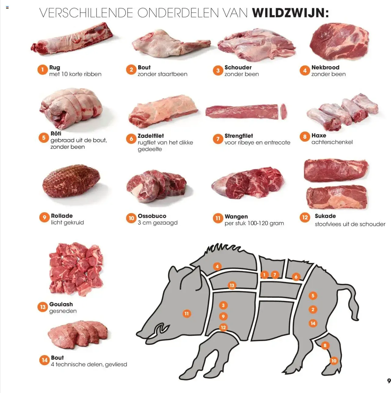 HANOS WILD VAN HET NAJAAR van 5 oktober tot 12 september 2026 - Folder pagina 9