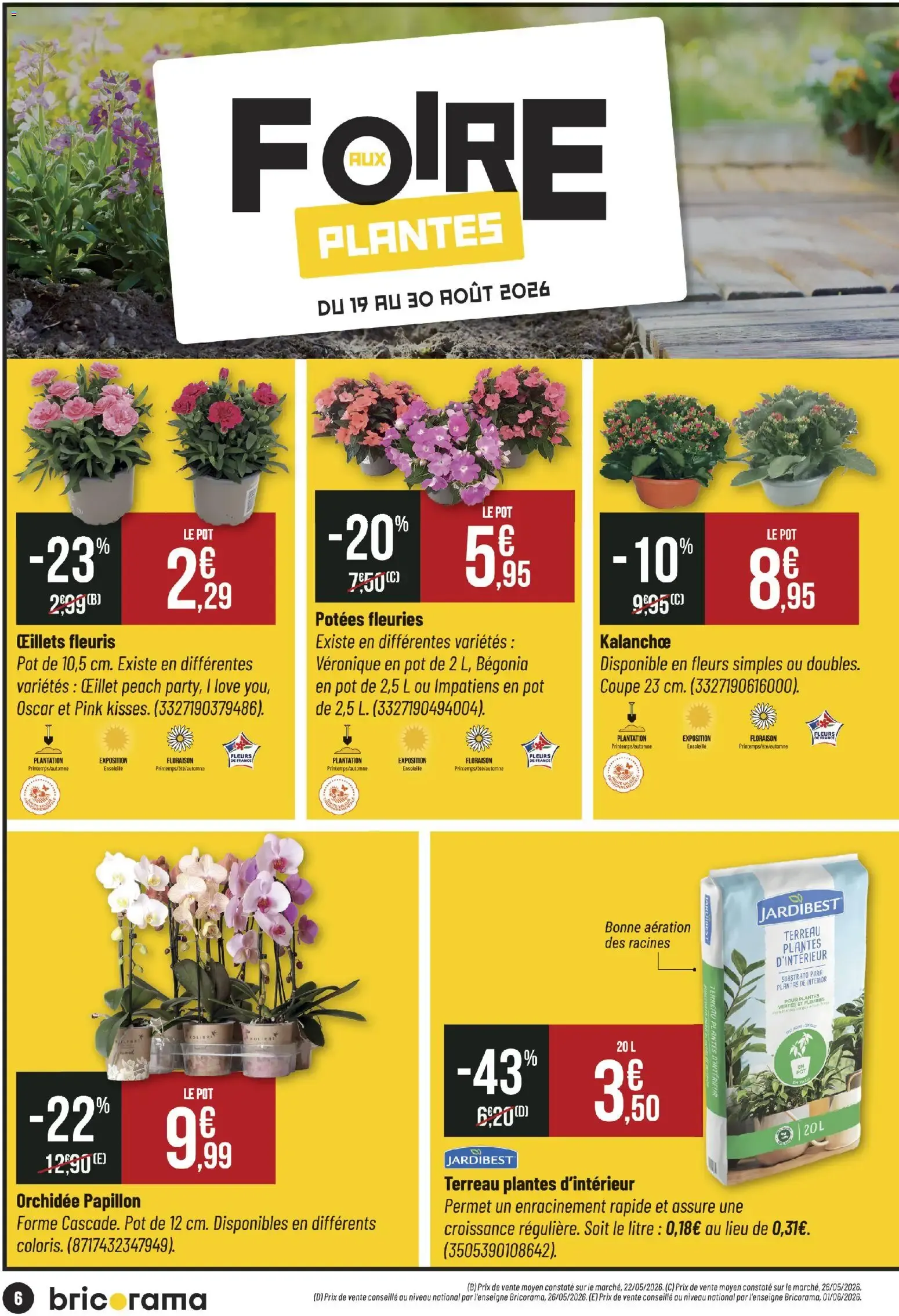 Bricorama catalogue à partir du 19/08/2026 - promo en ligne du 19 août au 30 août 2026 - Catalogue page 6