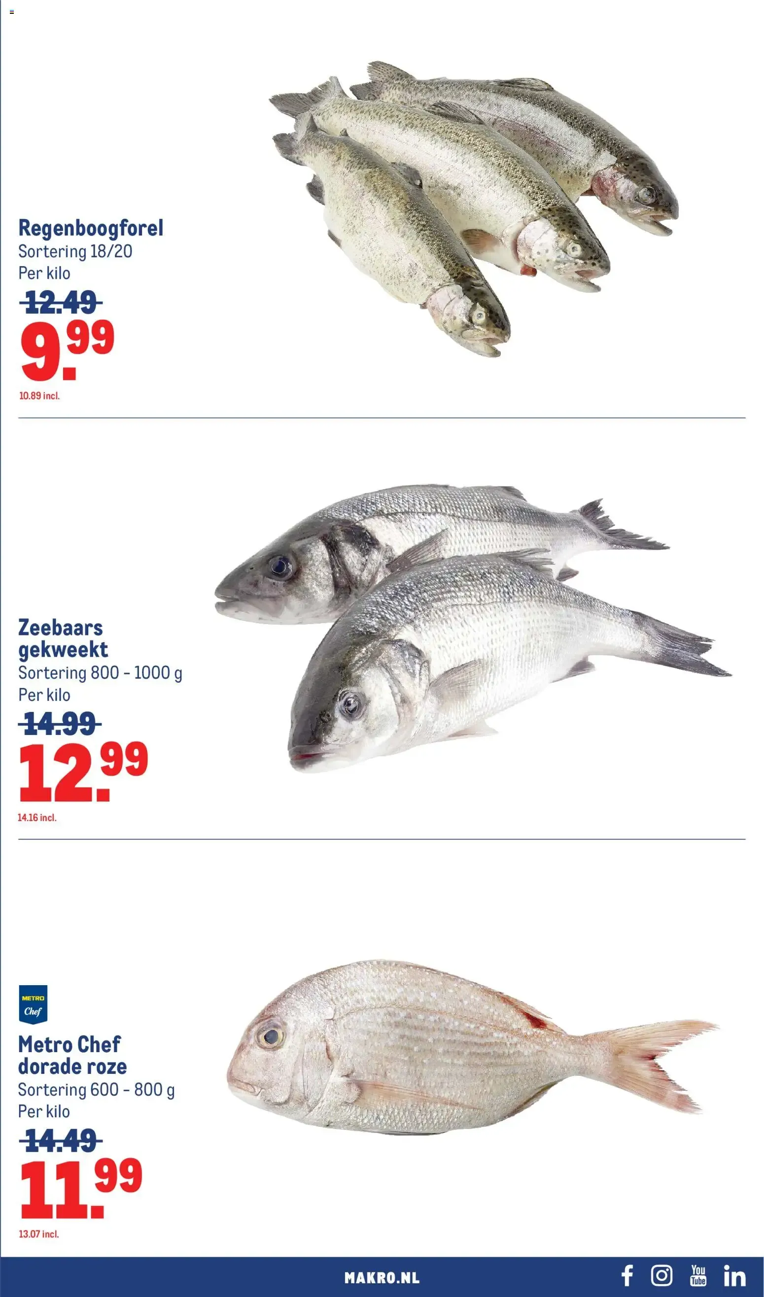 Makro folder vanaf 15-07-2026 || NIEUWE van 15 juli tot 26 juli 2026 - Folder pagina 21