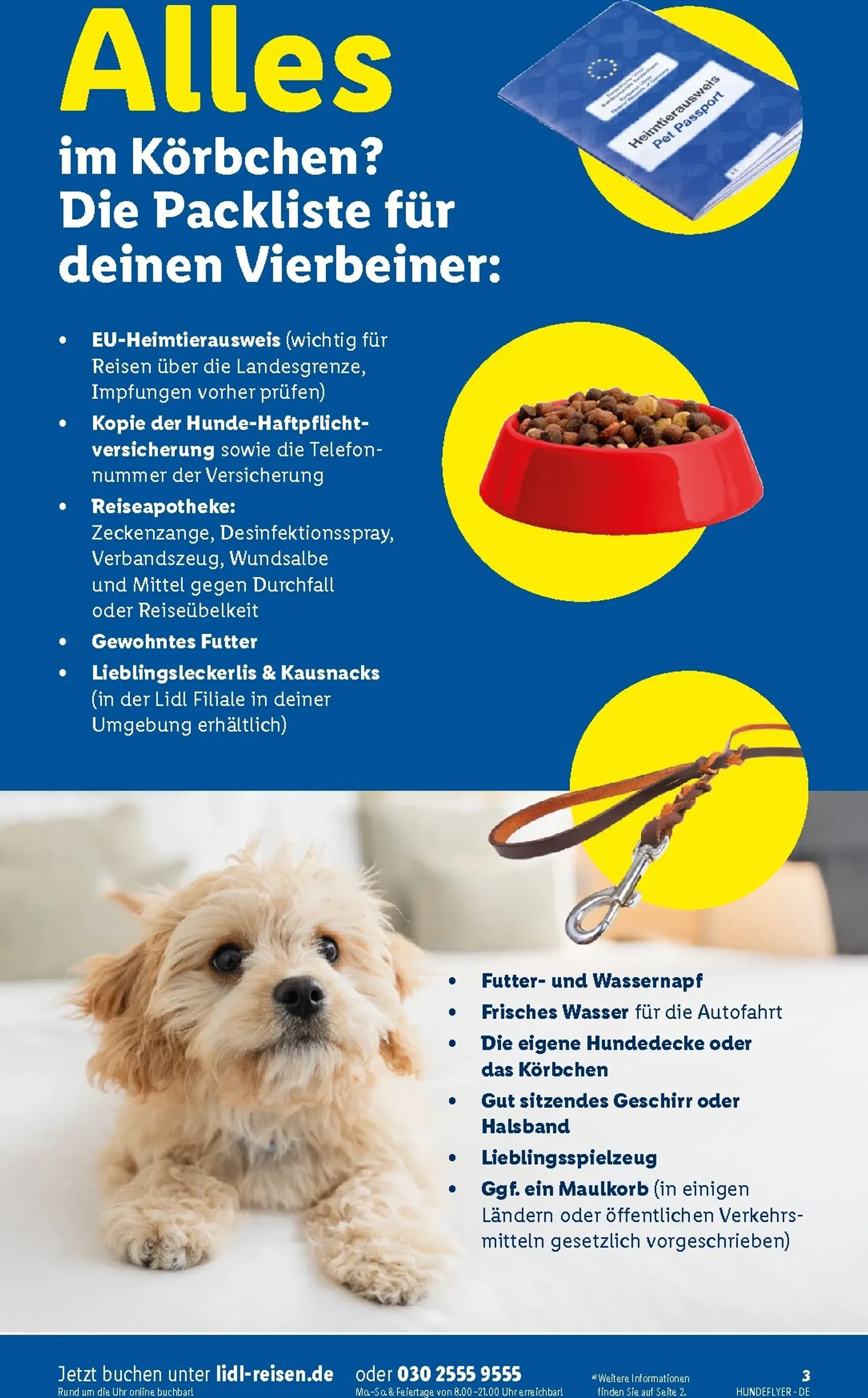 Lidl - Urlaub mit Wau-Effekt lohnt sich Prospekt – von Mittwoch 29.07.2026 bis Montag 31.08.2026 von 29. Juli bis 31. August 2026 - Prospekt seite 3