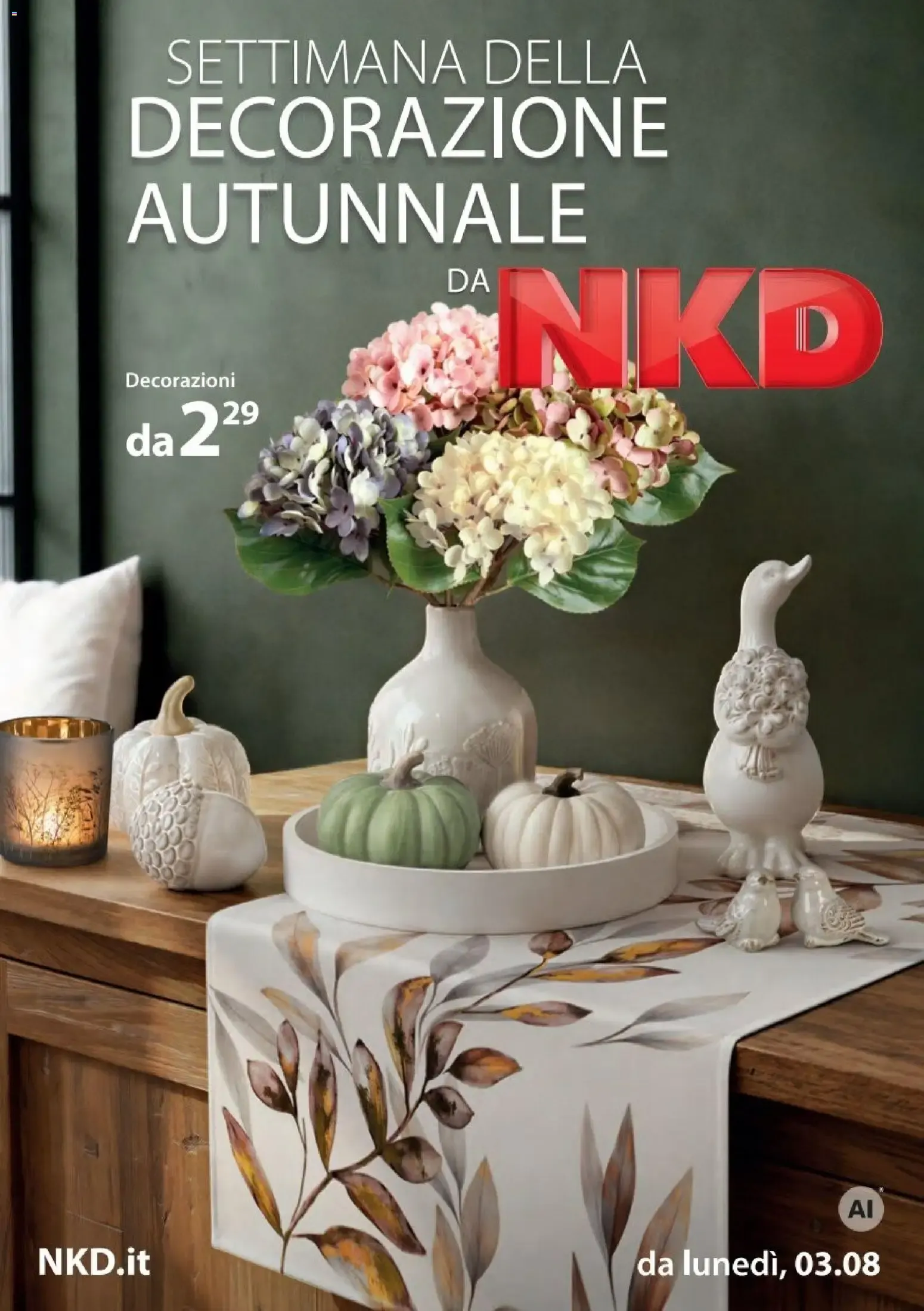 Settimana della Decorazione Autunnale da NKD da 3 agosto a 16 agosto di 2026 - Pagina del volantino 1