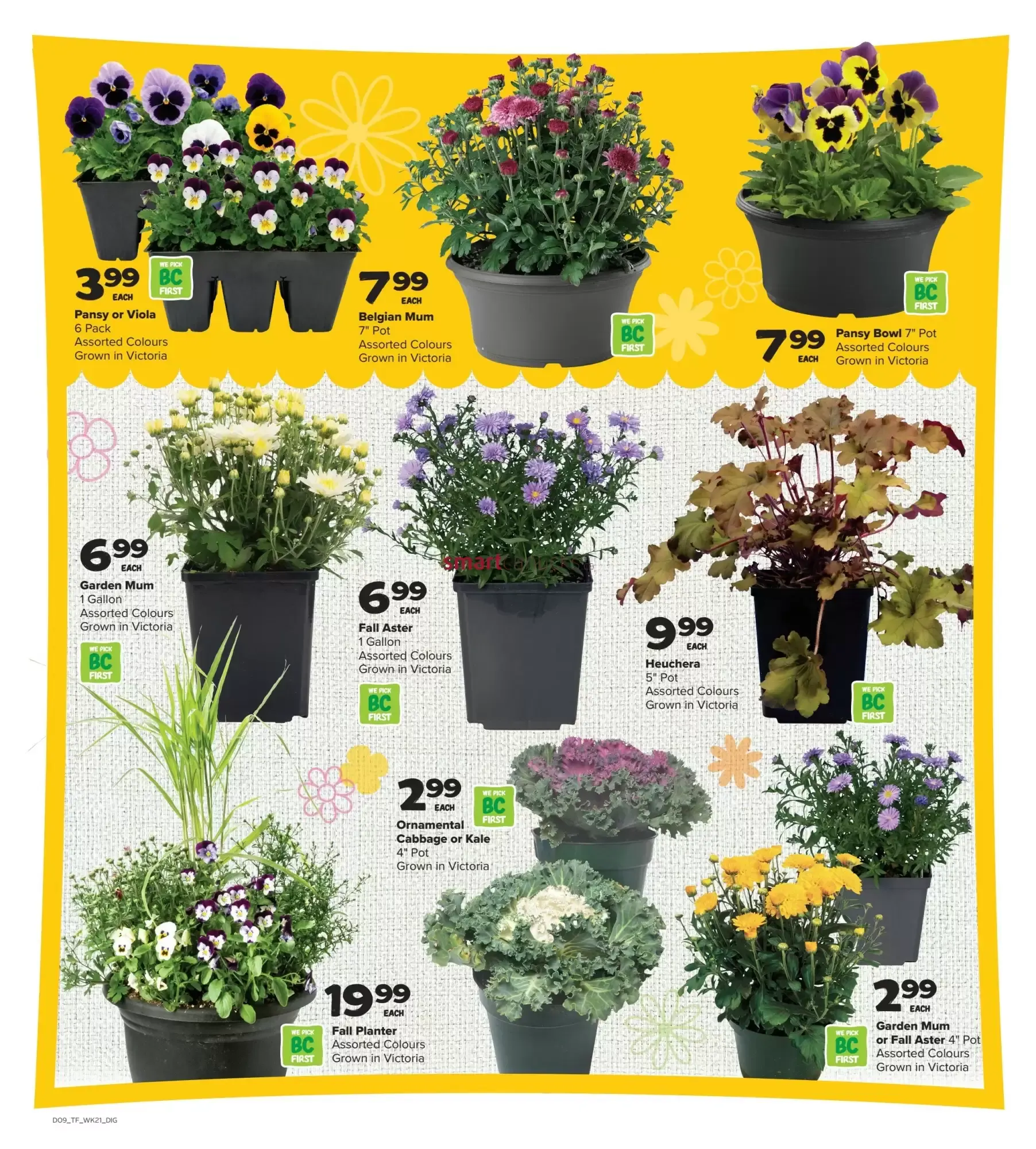 Thrifty Foods from September 17 to September 23 2026 - flyer page 15